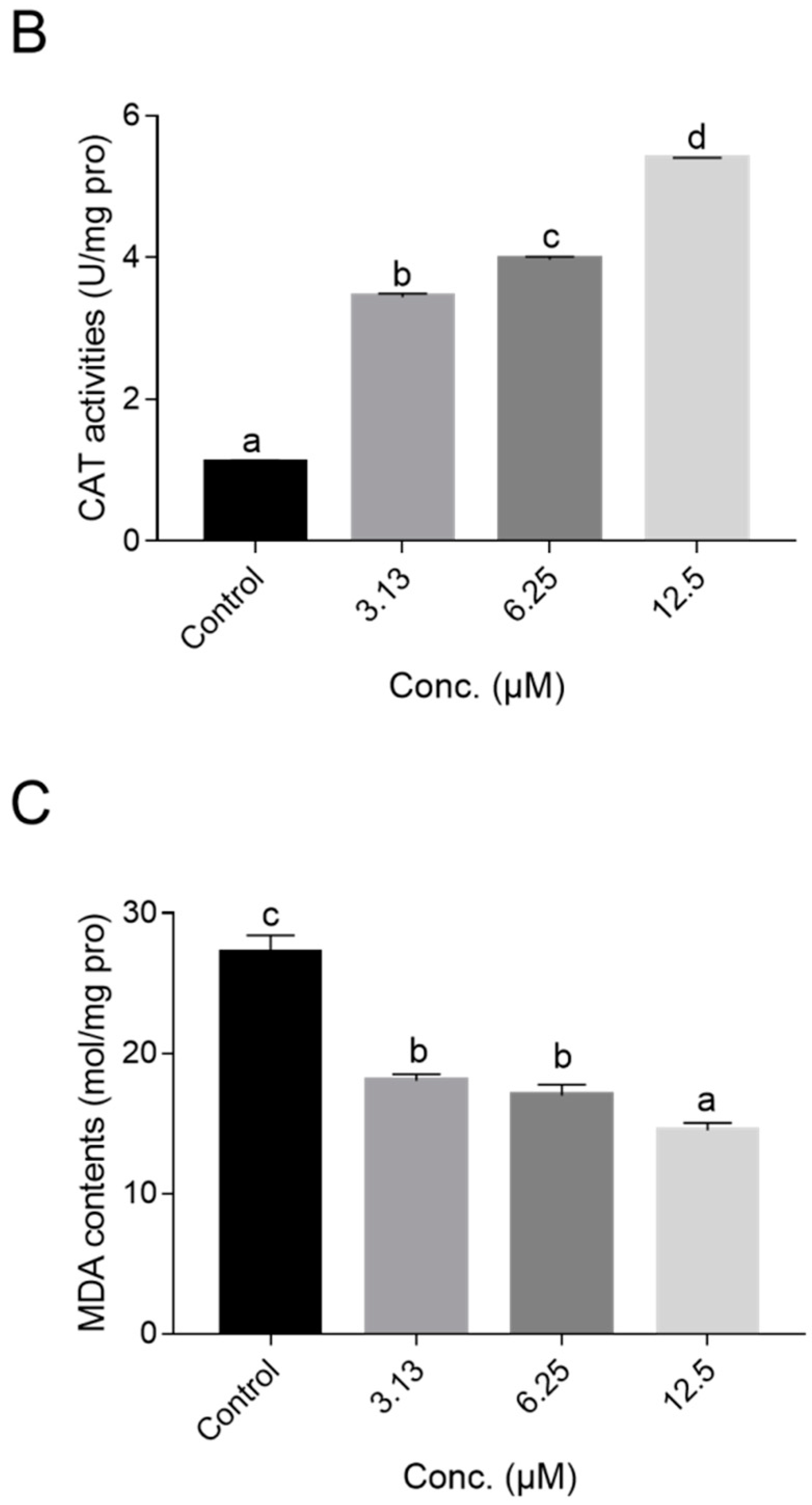 Ijms 21 00341 g008b Ijms 21 00341 g008b