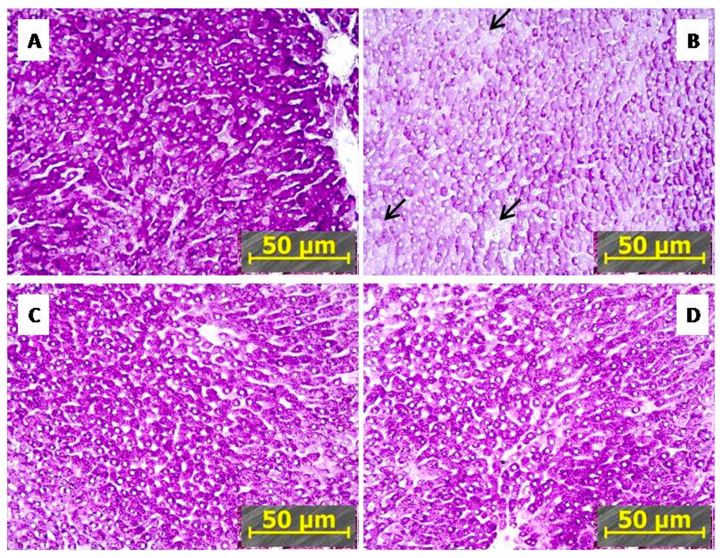 Ijms 21 00345 g005 Ijms 21 00345 g005