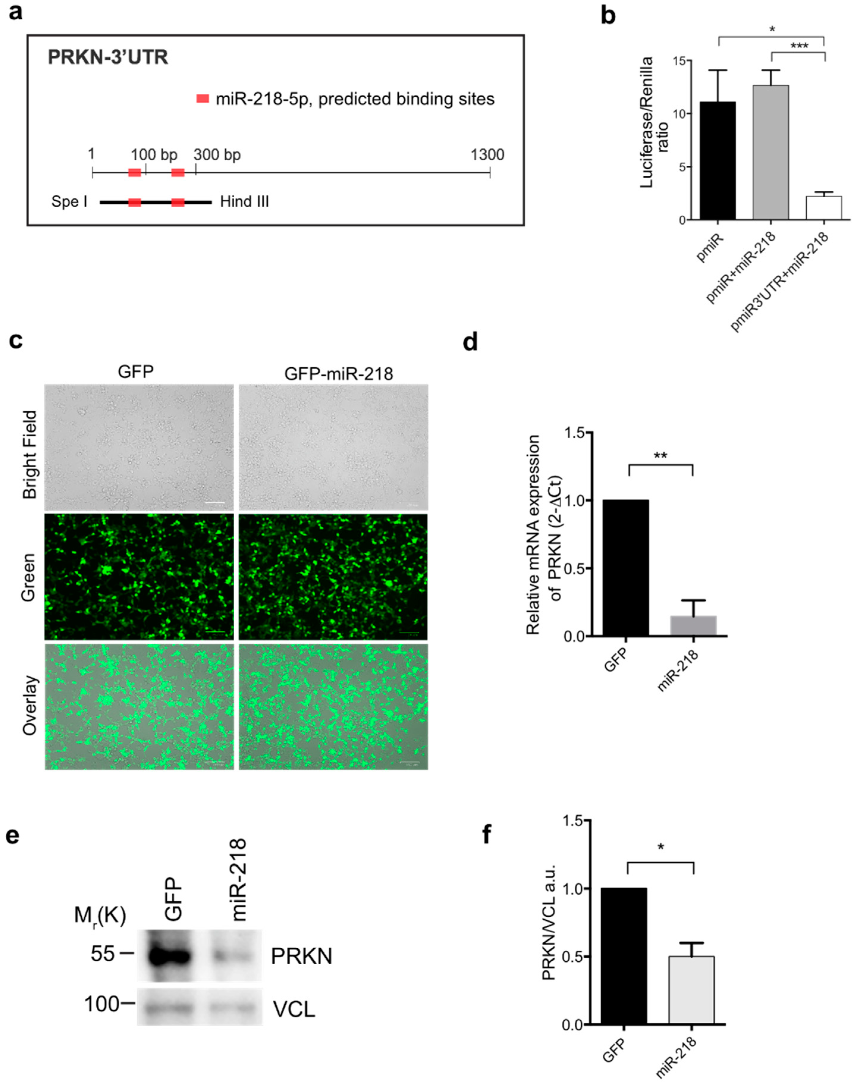 Ijms 21 00355 g001 Ijms 21 00355 g001