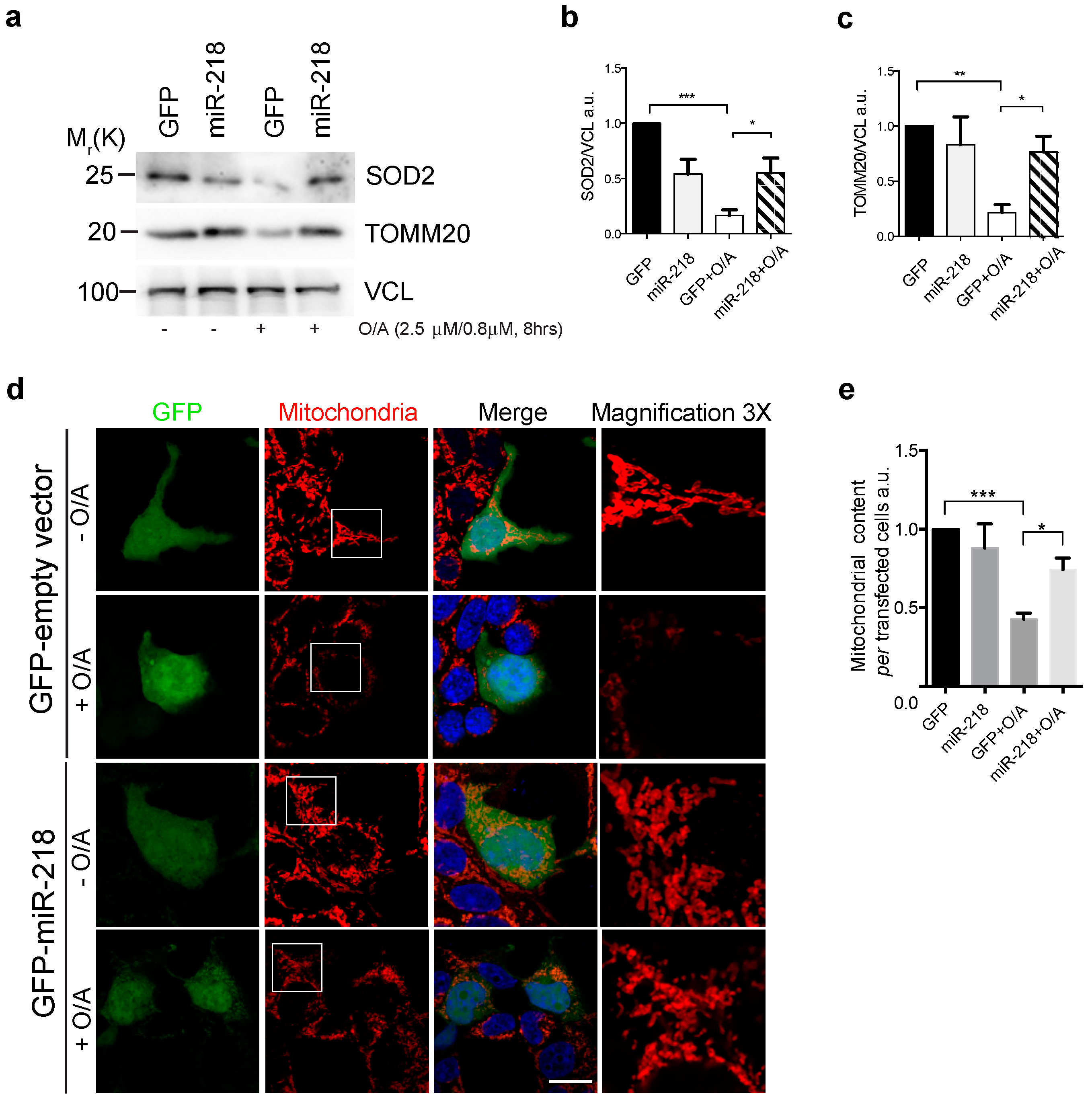 Ijms 21 00355 g002 Ijms 21 00355 g002