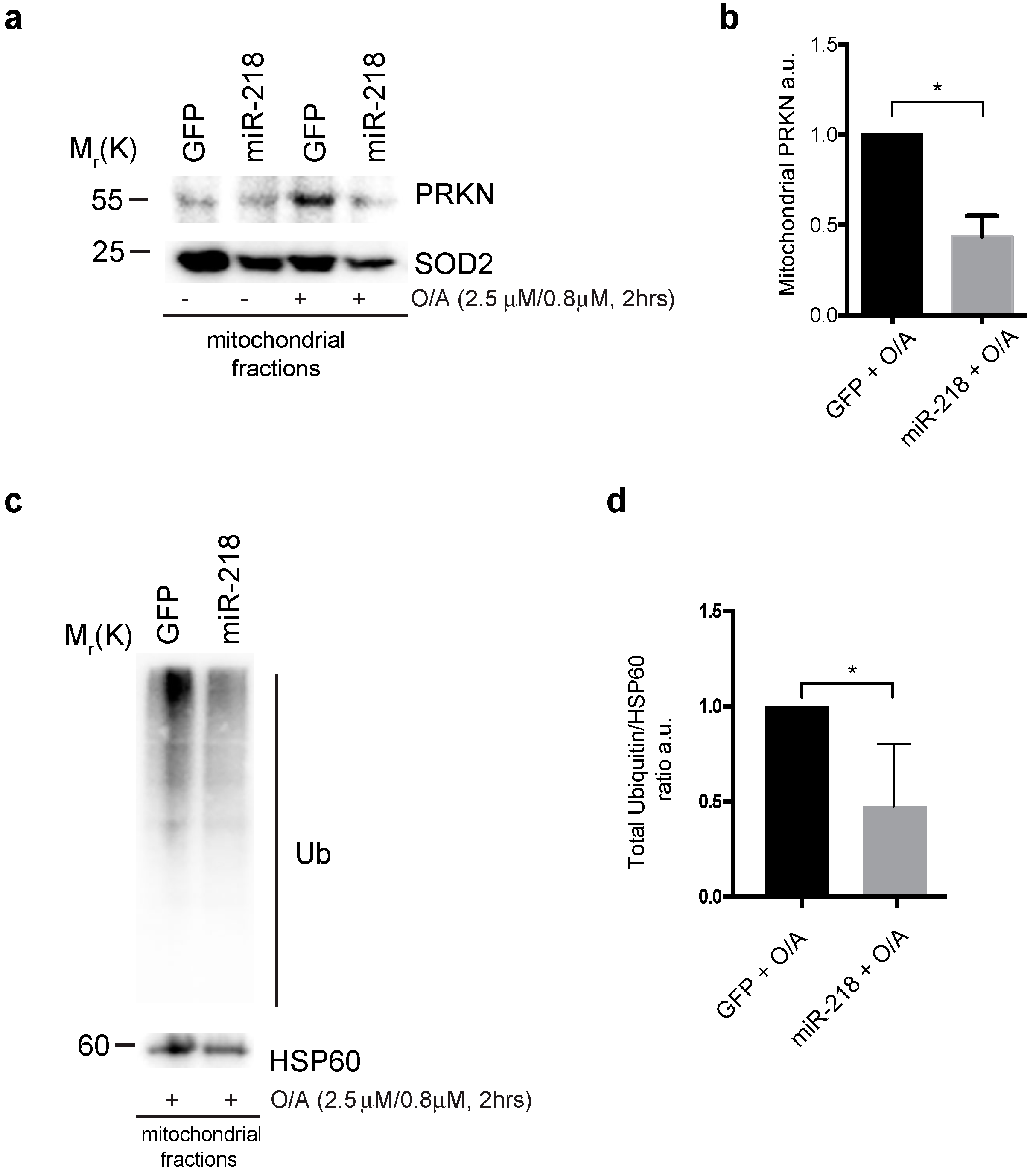 Ijms 21 00355 g003 Ijms 21 00355 g003