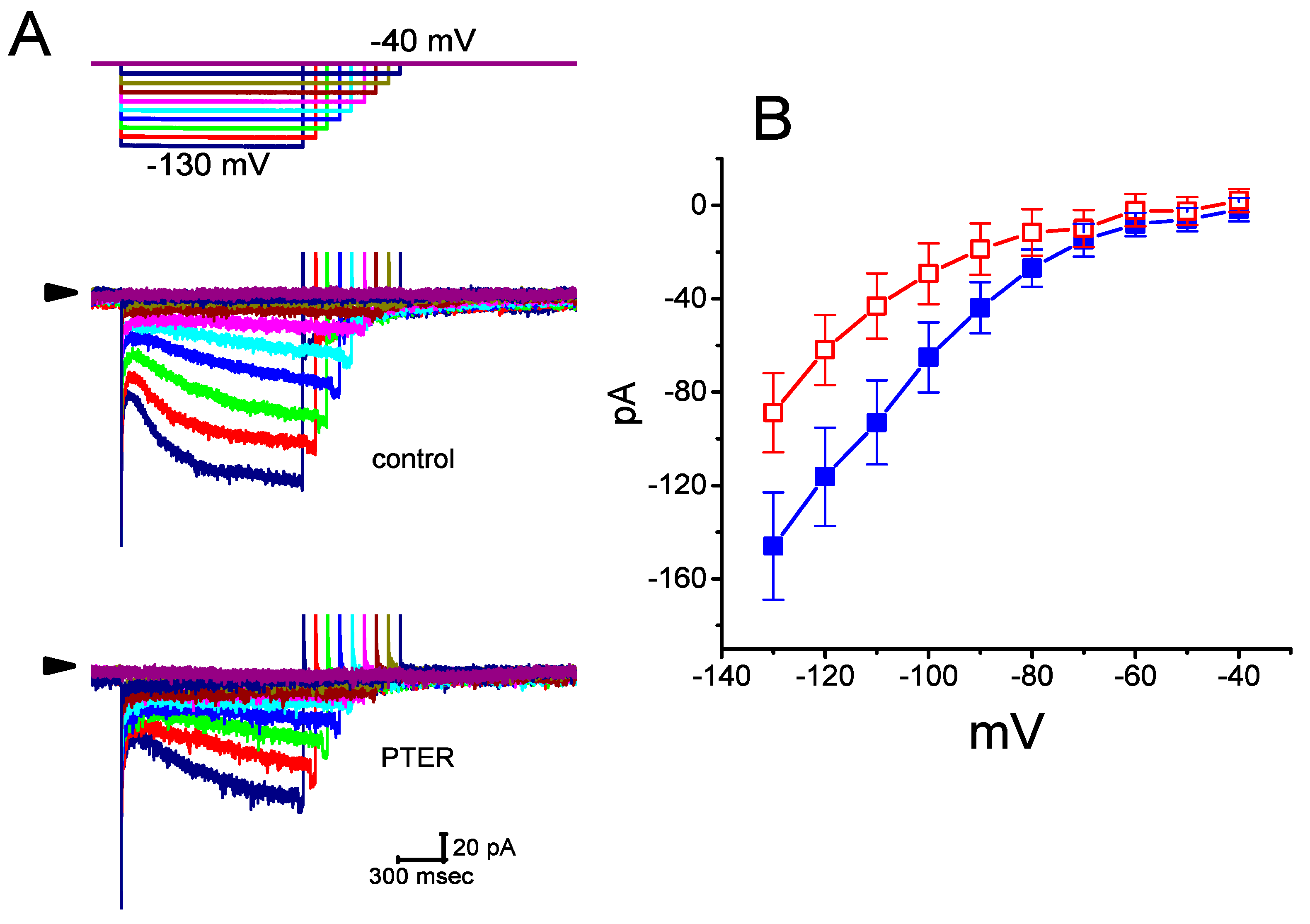 Ijms 21 00357 g002 Ijms 21 00357 g002