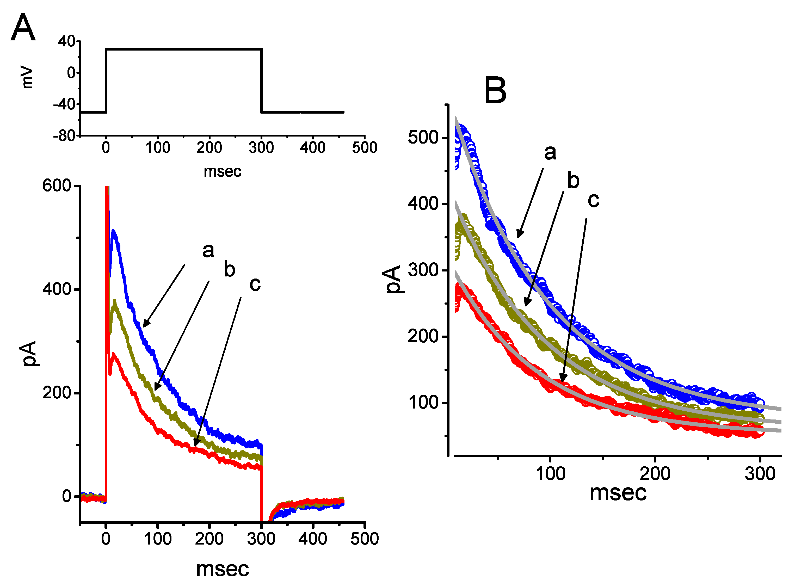 Ijms 21 00357 g005 Ijms 21 00357 g005