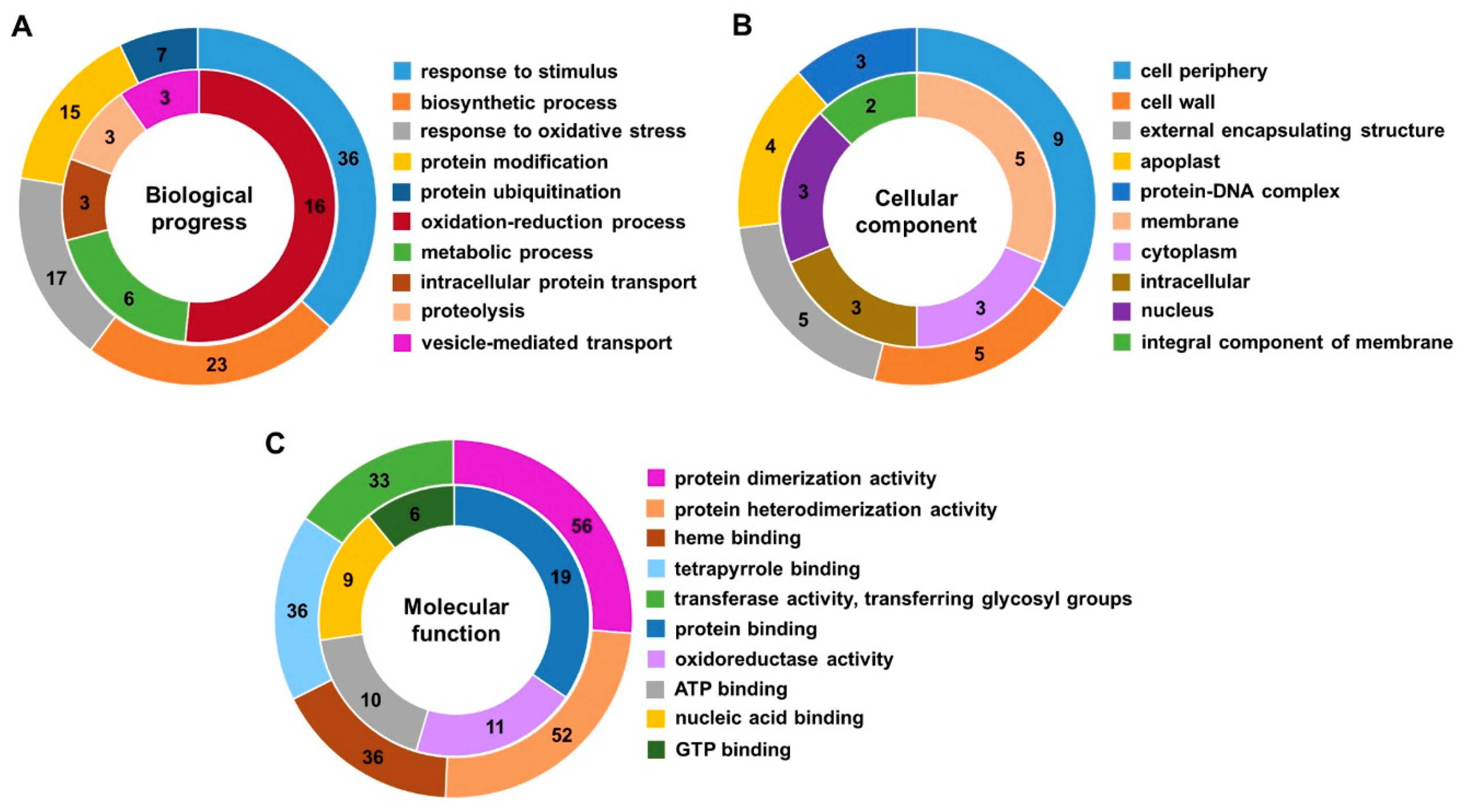 Ijms 21 00359 g004 Ijms 21 00359 g004