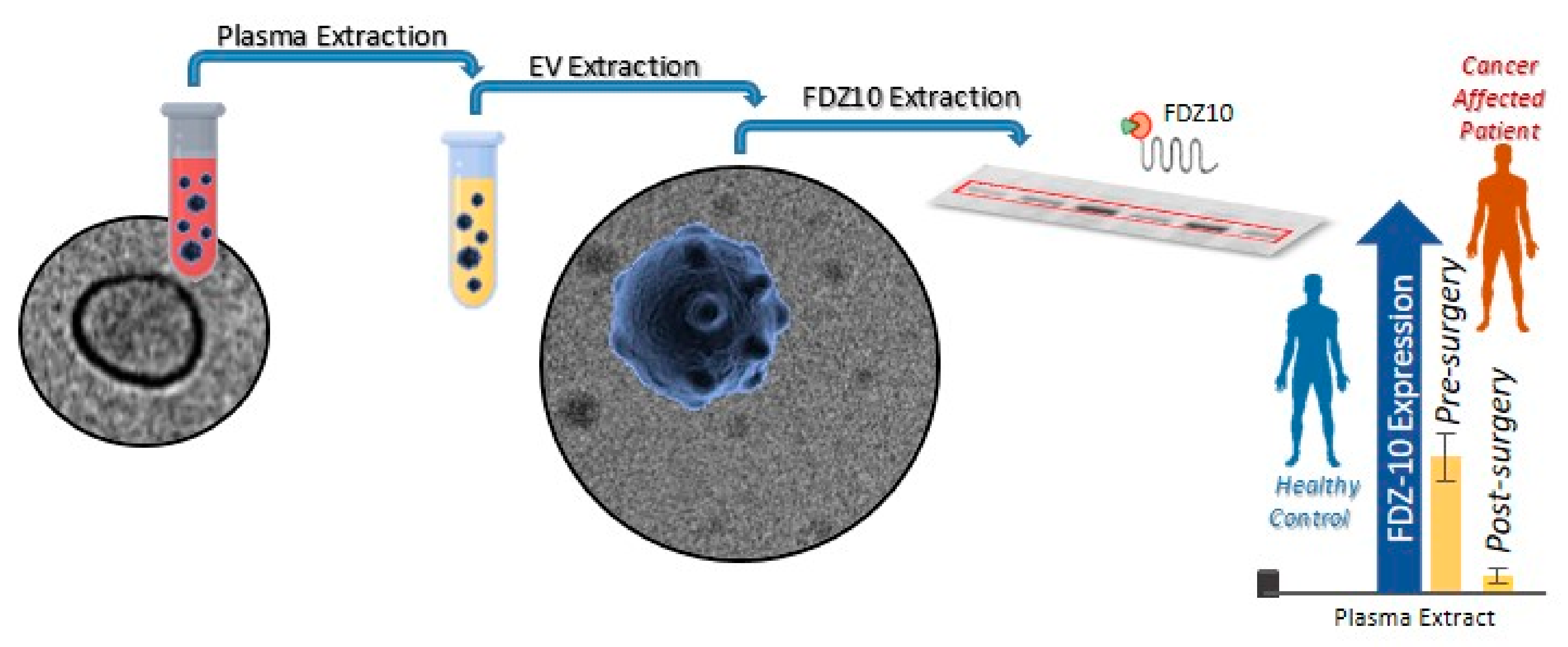 Ijms 21 00367 g002 Ijms 21 00367 g002