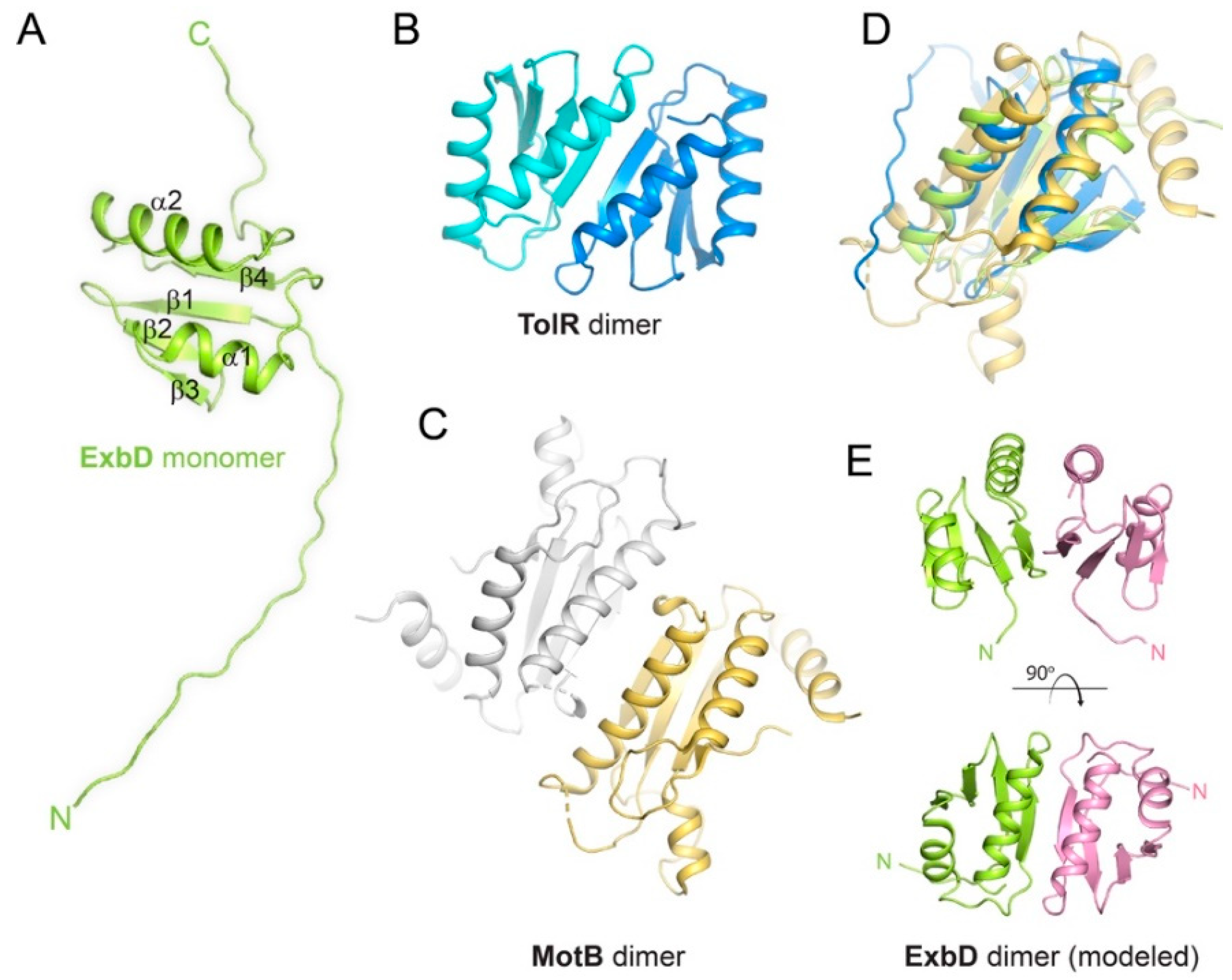 Ijms 21 00375 g003 Ijms 21 00375 g003