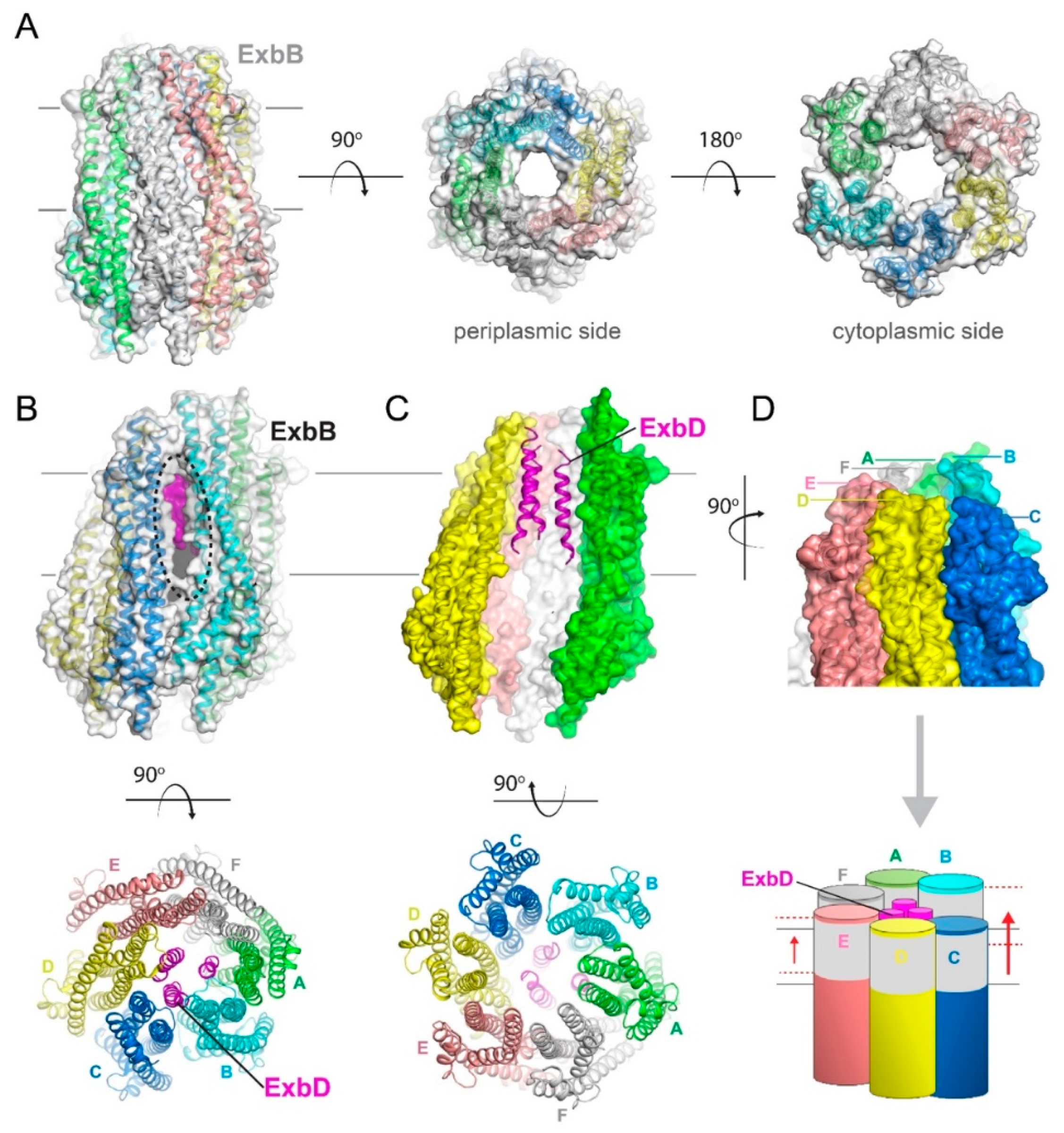 Ijms 21 00375 g005 Ijms 21 00375 g005
