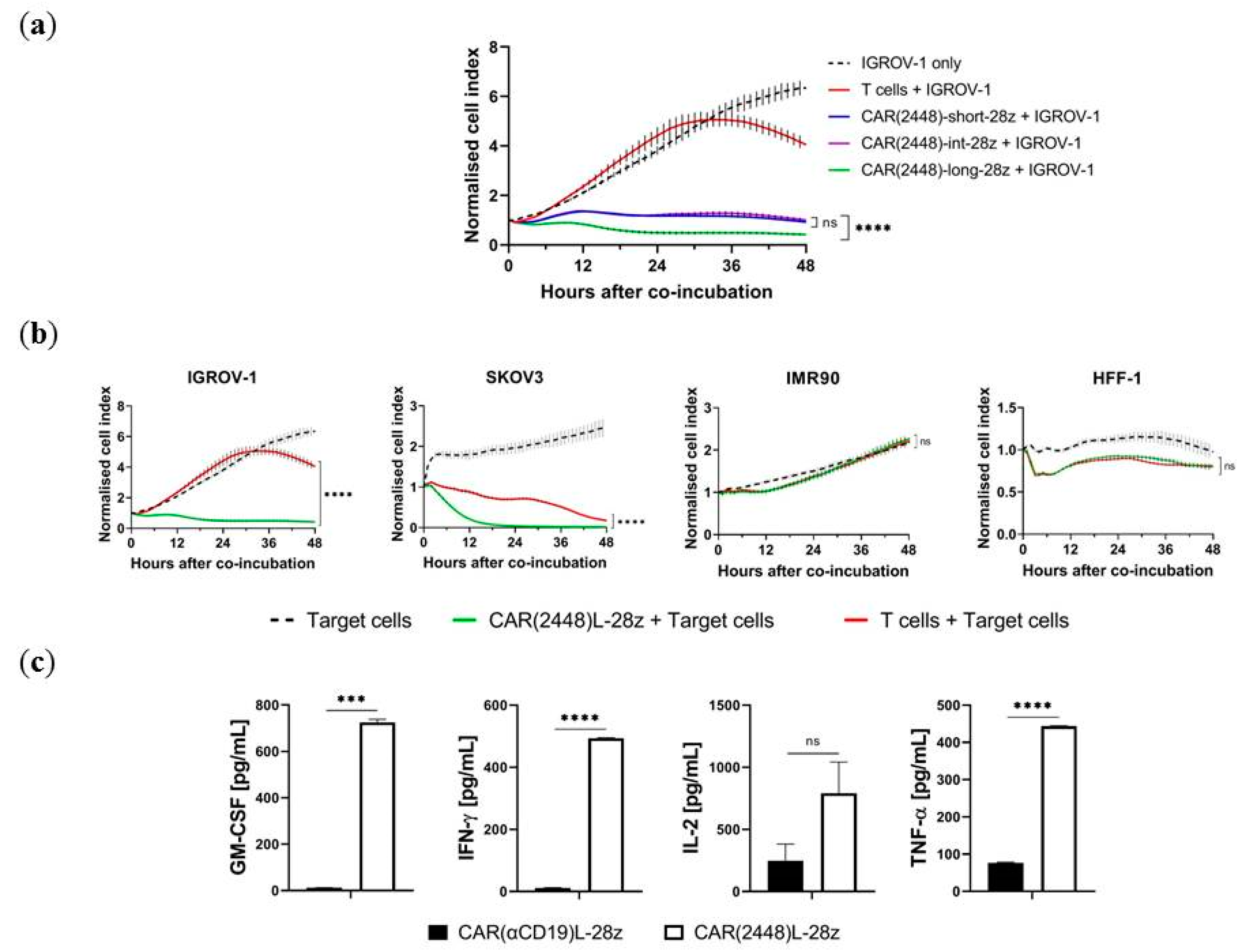 Ijms 21 00381 g002 Ijms 21 00381 g002