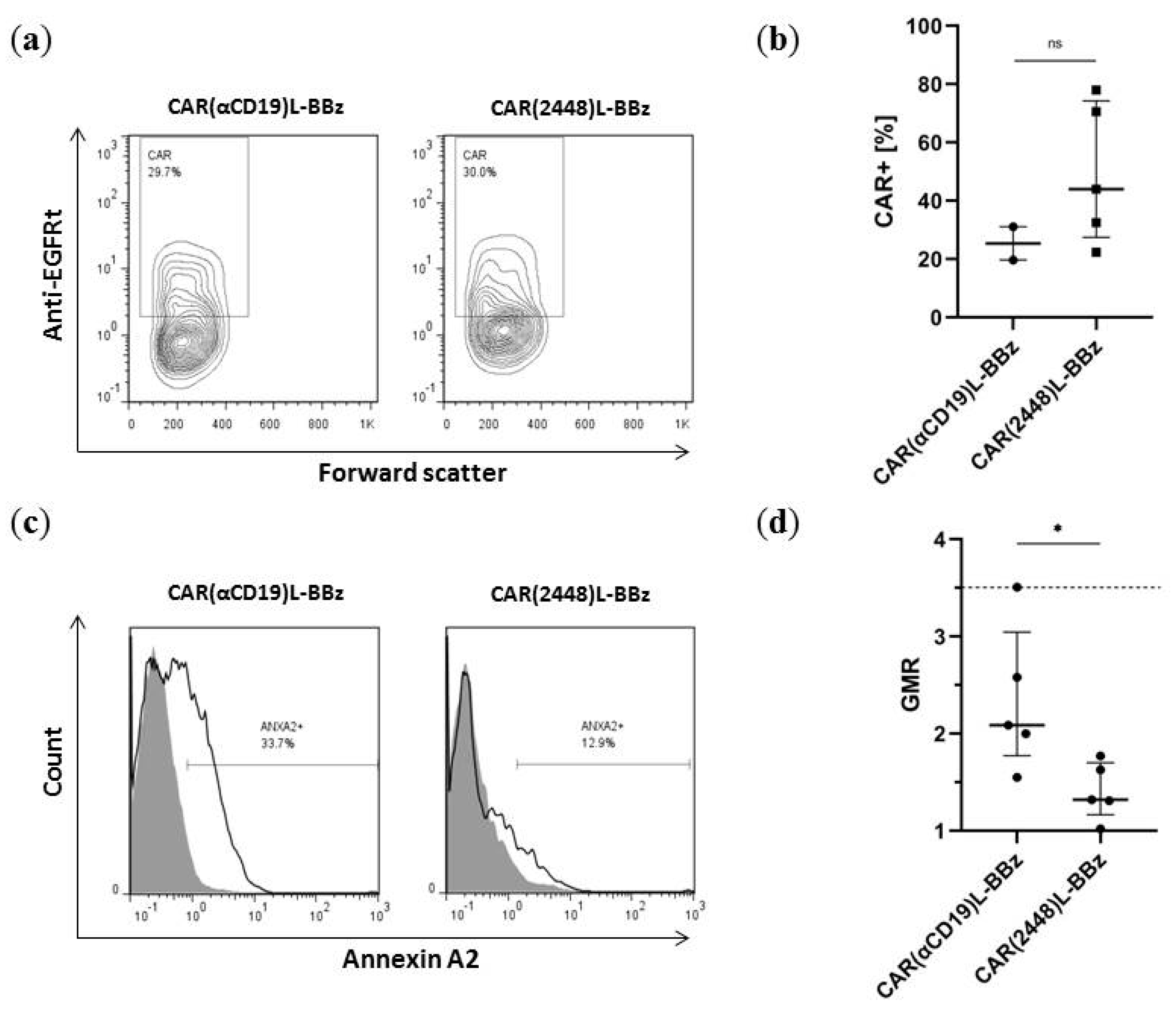 Ijms 21 00381 g006 Ijms 21 00381 g006