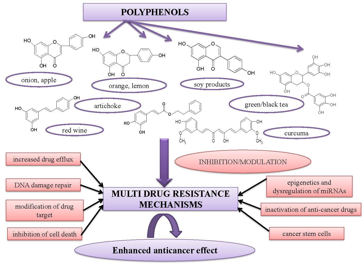 IJMS Free FullText Alleviation of Multidrug Resistance by Flavonoid and NonFlavonoid