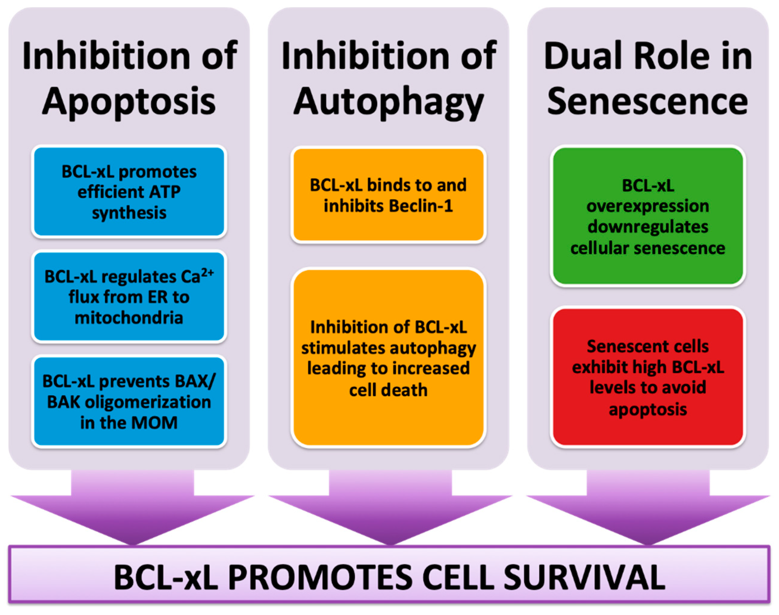 Ijms 21 00418 g003 Ijms 21 00418 g003