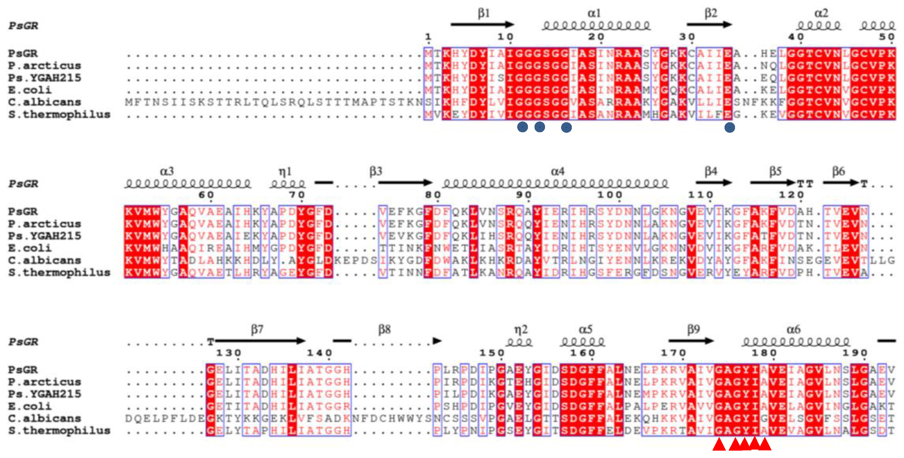 Seismic performance of an assembled self-centering buckling
