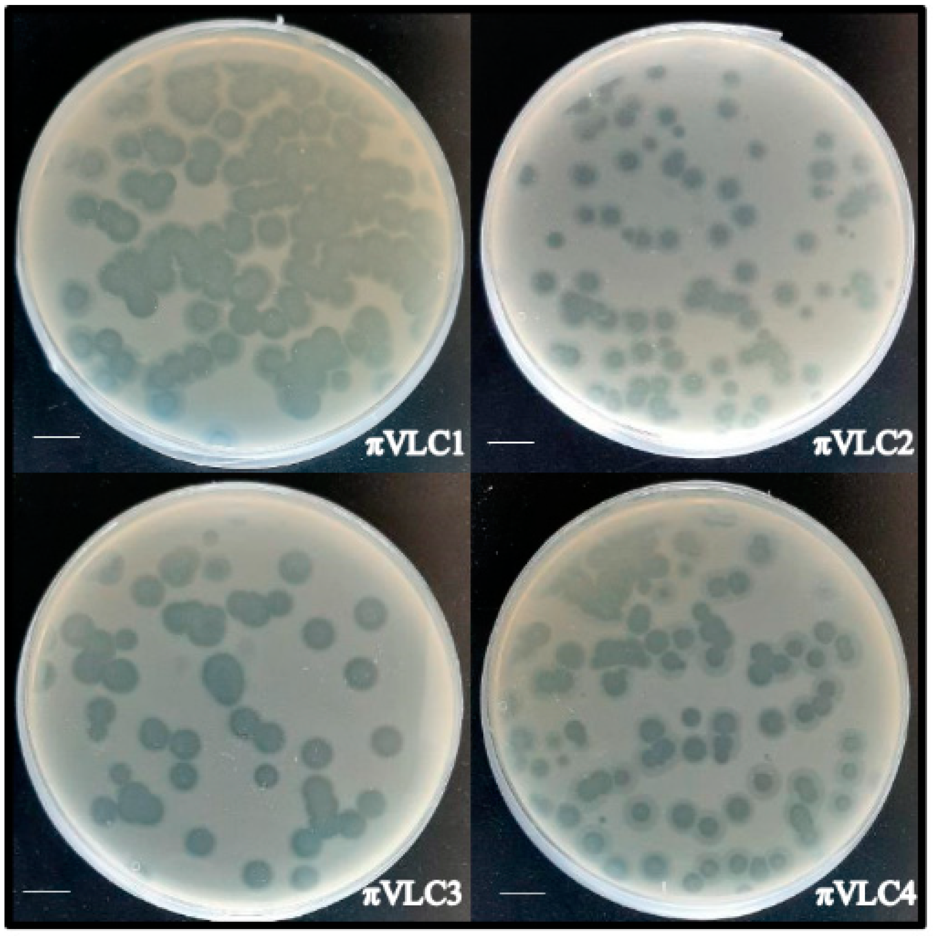 Ijms 21 00425 g001 Ijms 21 00425 g001