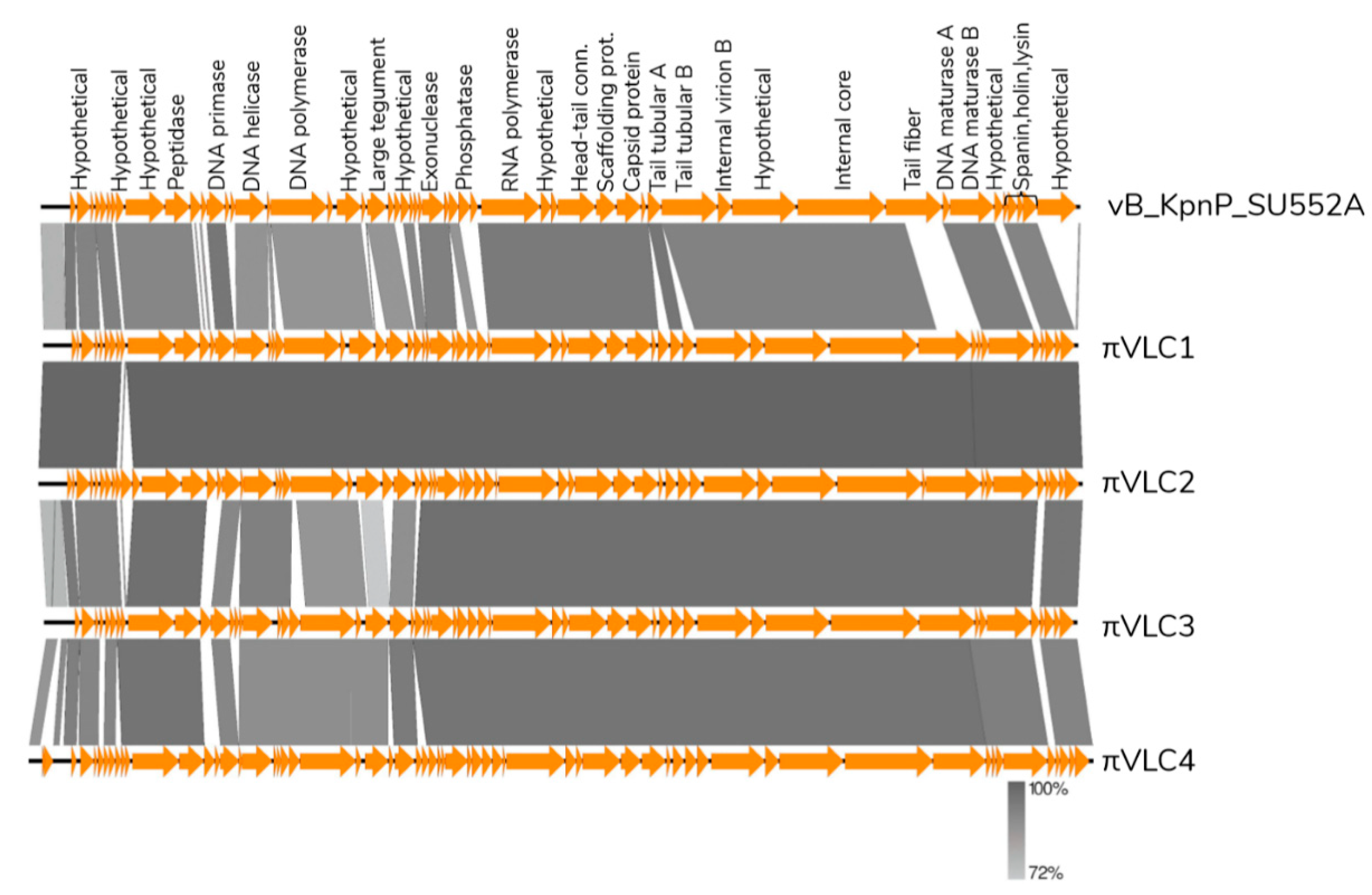 Ijms 21 00425 g006 Ijms 21 00425 g006