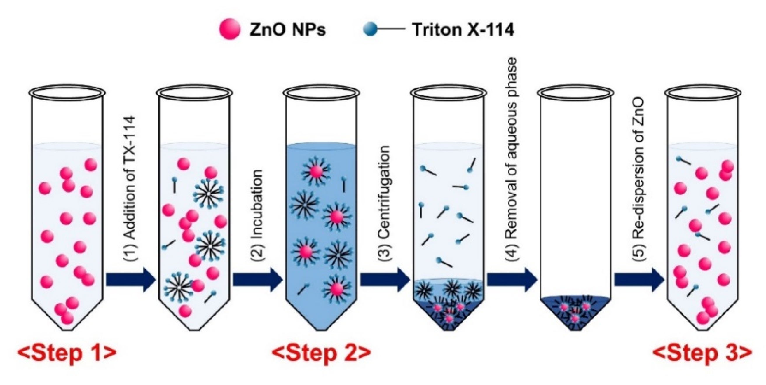 Ijms 21 00433 g001 Ijms 21 00433 g001