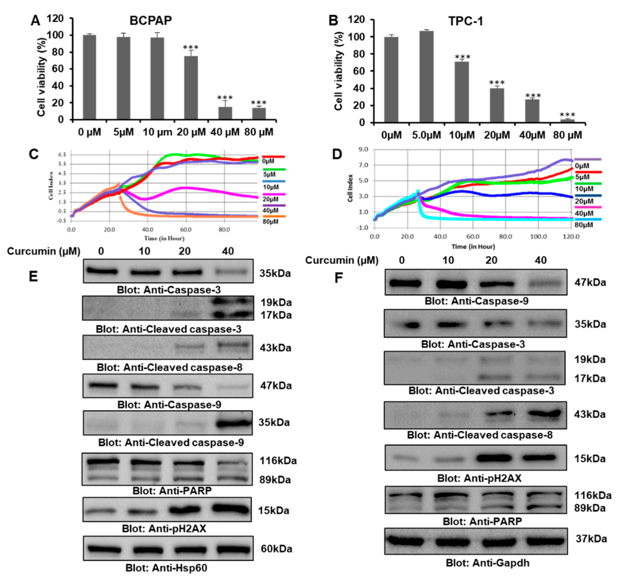 Ijms 21 00438 g001 Ijms 21 00438 g001