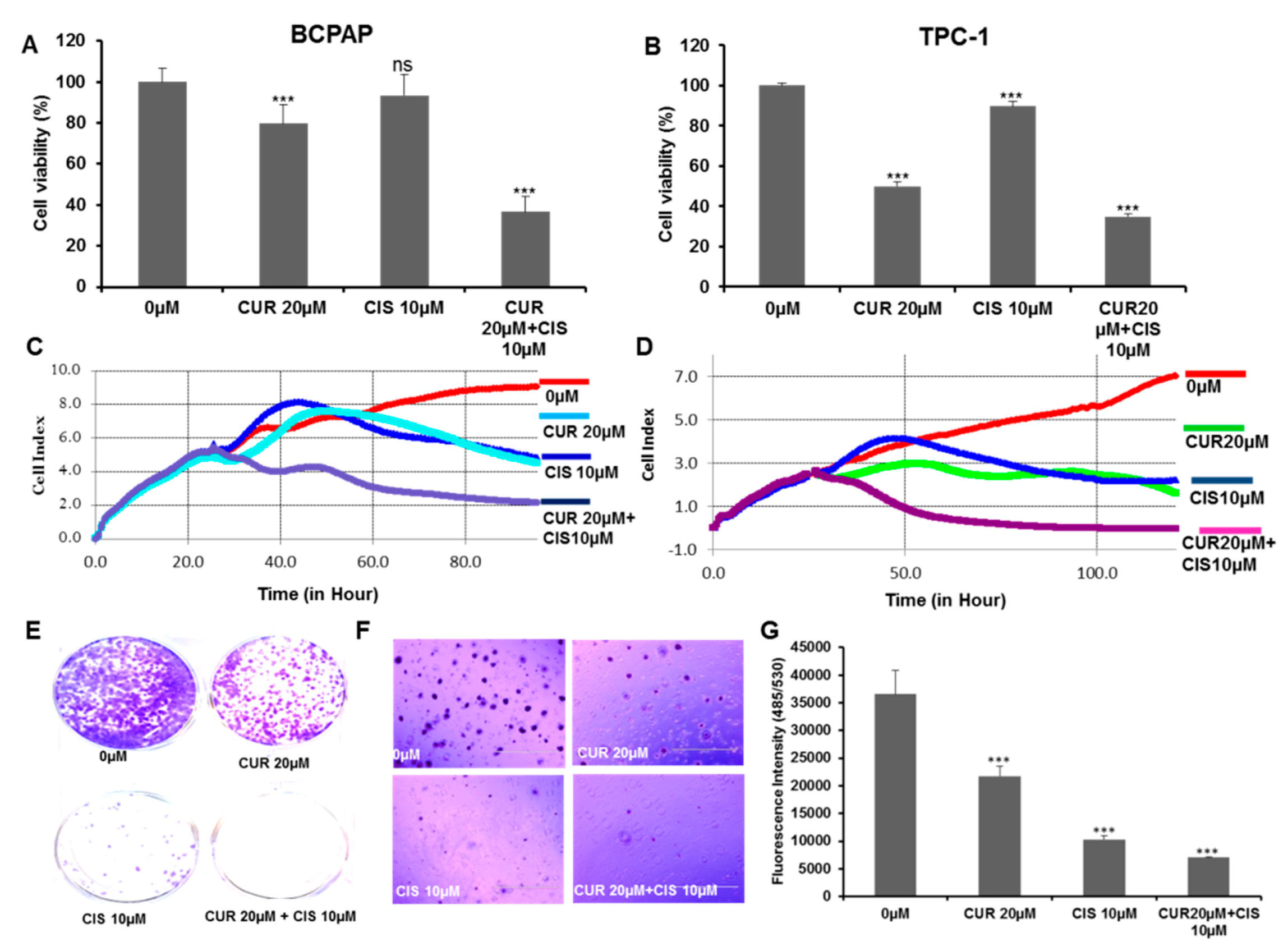 Ijms 21 00438 g004 Ijms 21 00438 g004