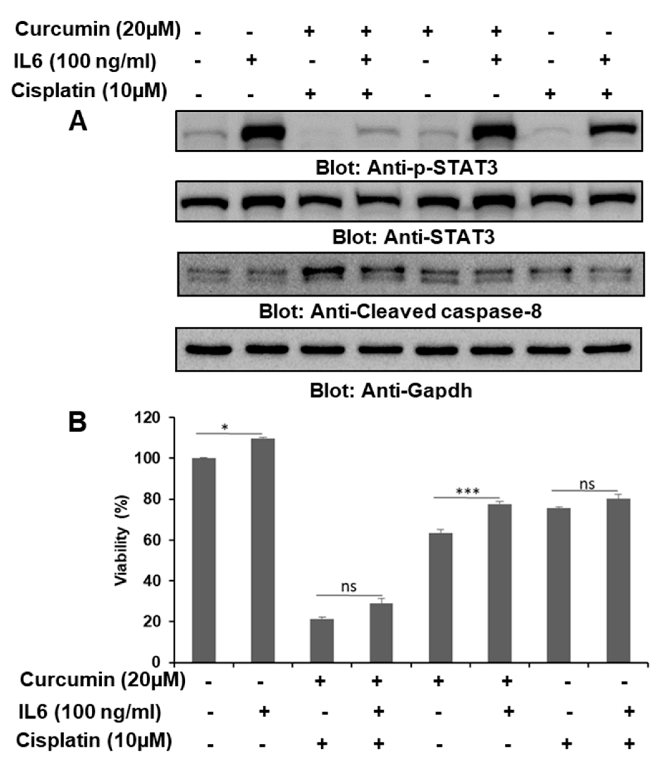 Ijms 21 00438 g008 Ijms 21 00438 g008