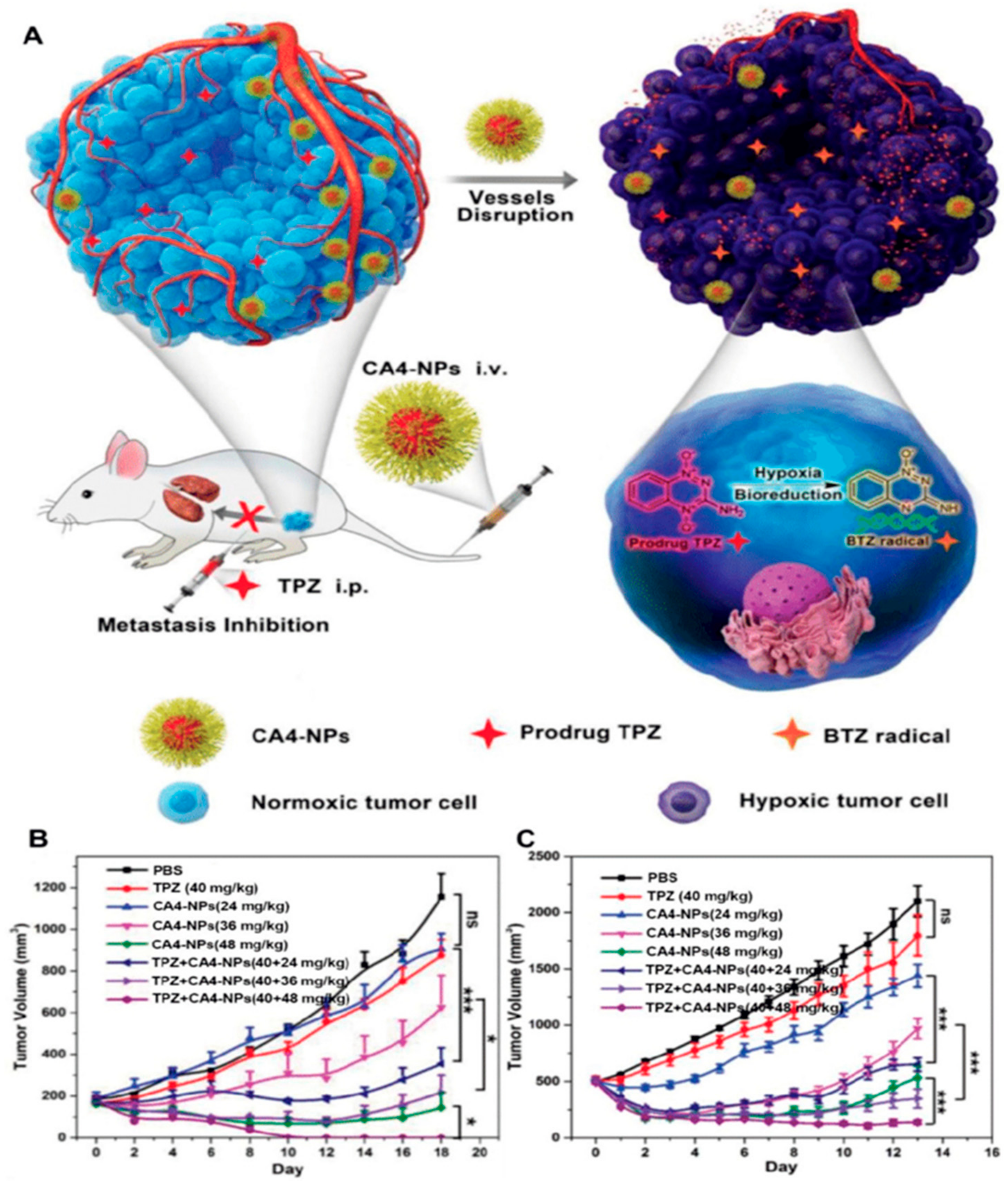 Ijms 21 00455 g005 Ijms 21 00455 g005