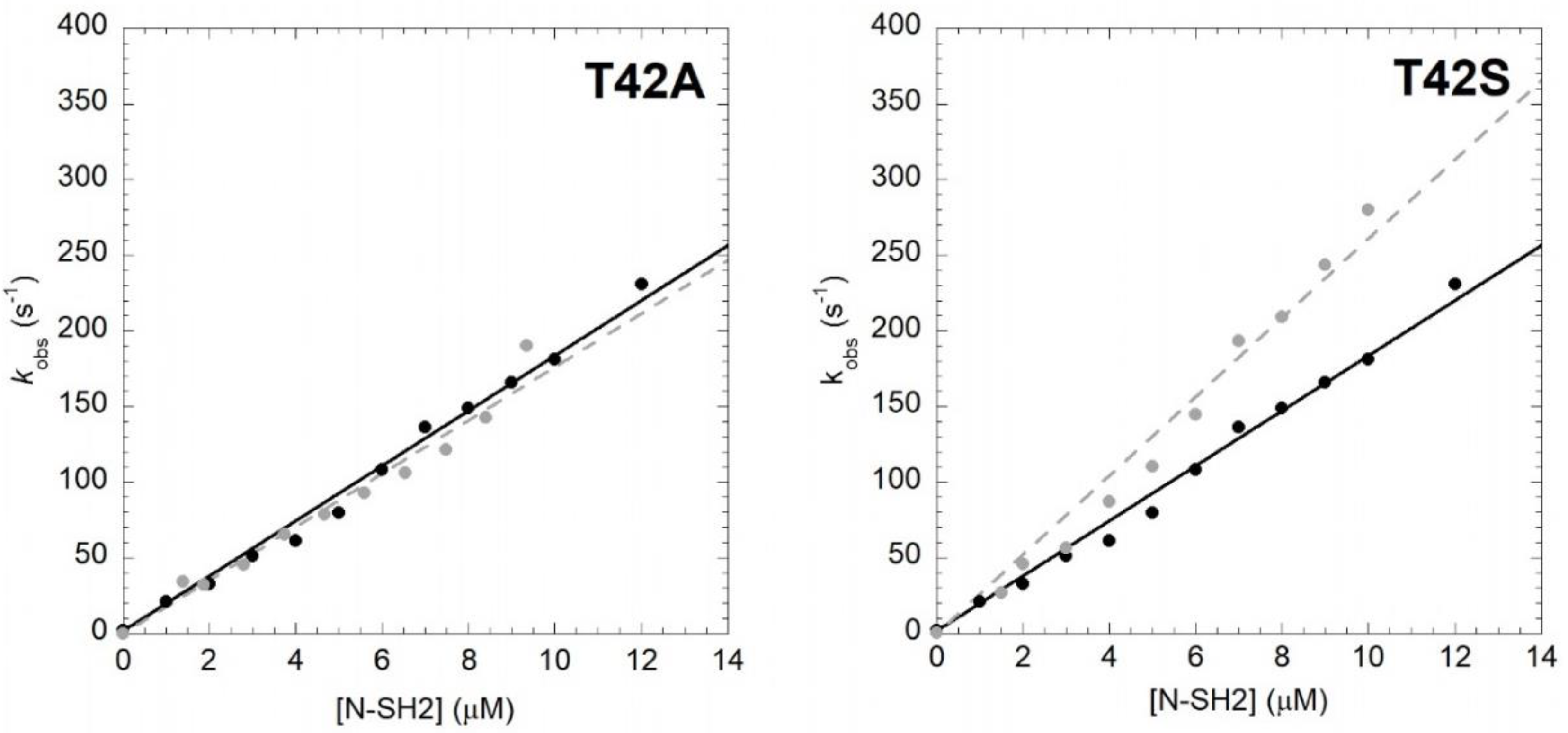 Ijms 21 00461 g001 Ijms 21 00461 g001