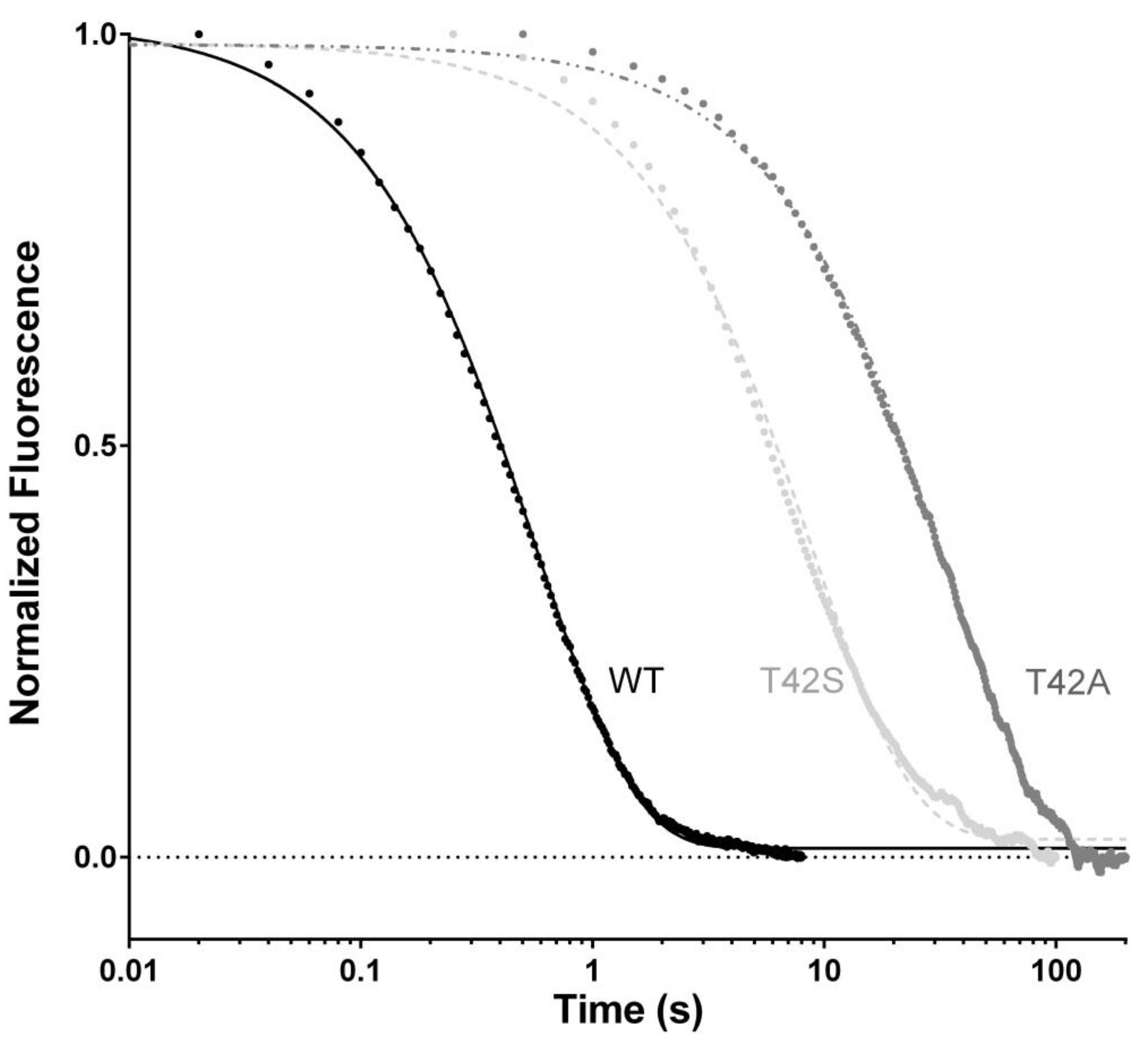 Ijms 21 00461 g002 Ijms 21 00461 g002