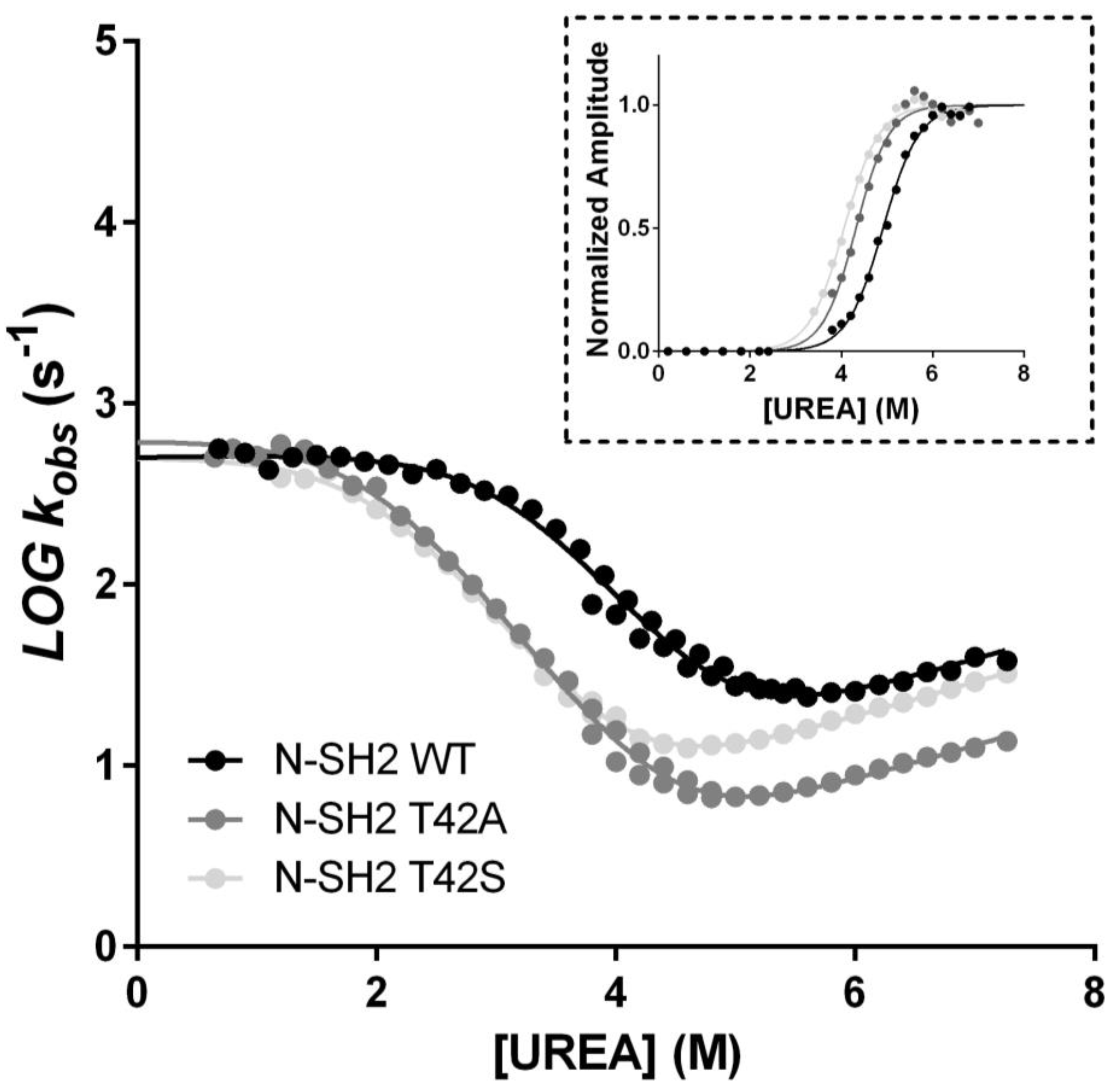 Ijms 21 00461 g003 Ijms 21 00461 g003