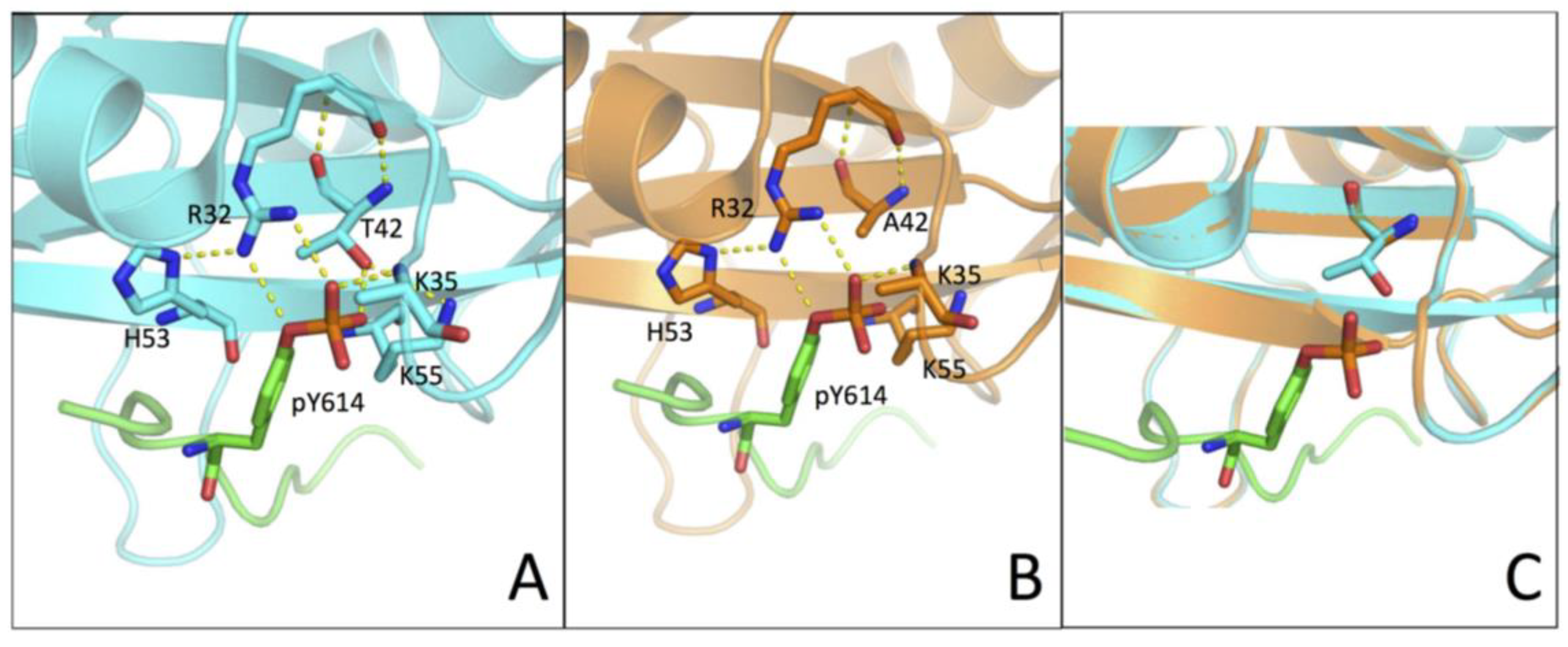Ijms 21 00461 g004 Ijms 21 00461 g004