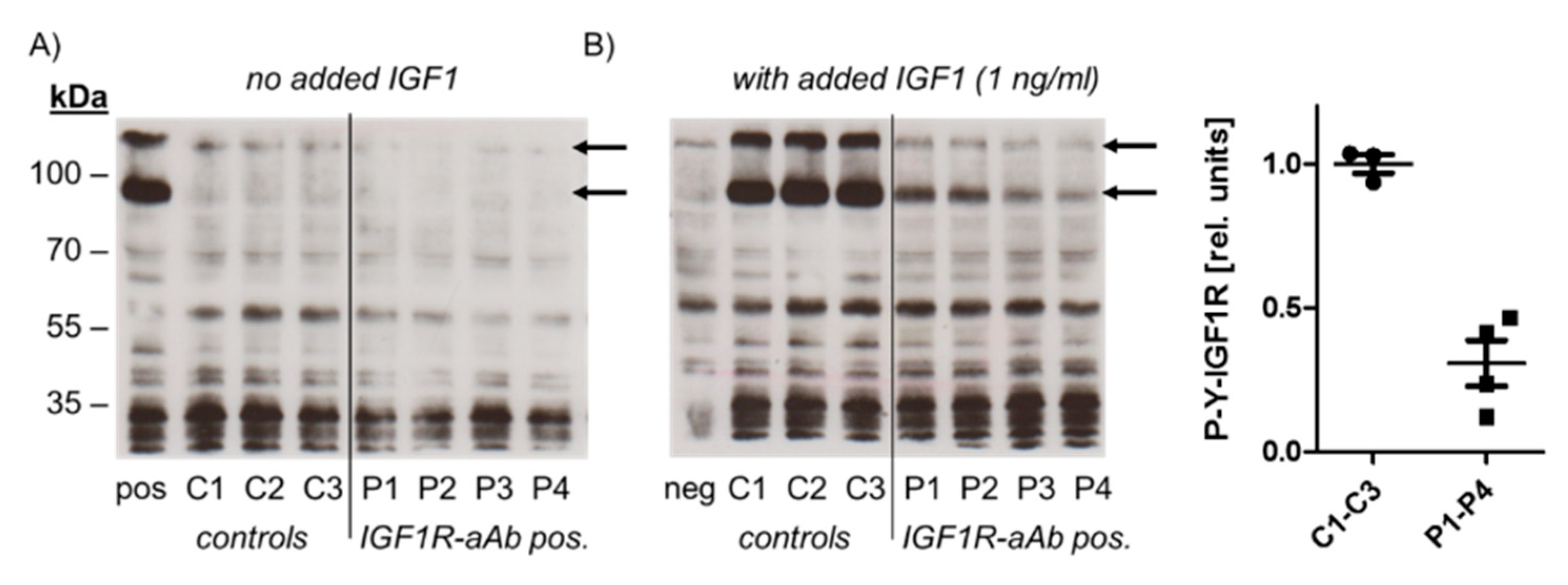 Ijms 21 00463 g003 Ijms 21 00463 g003
