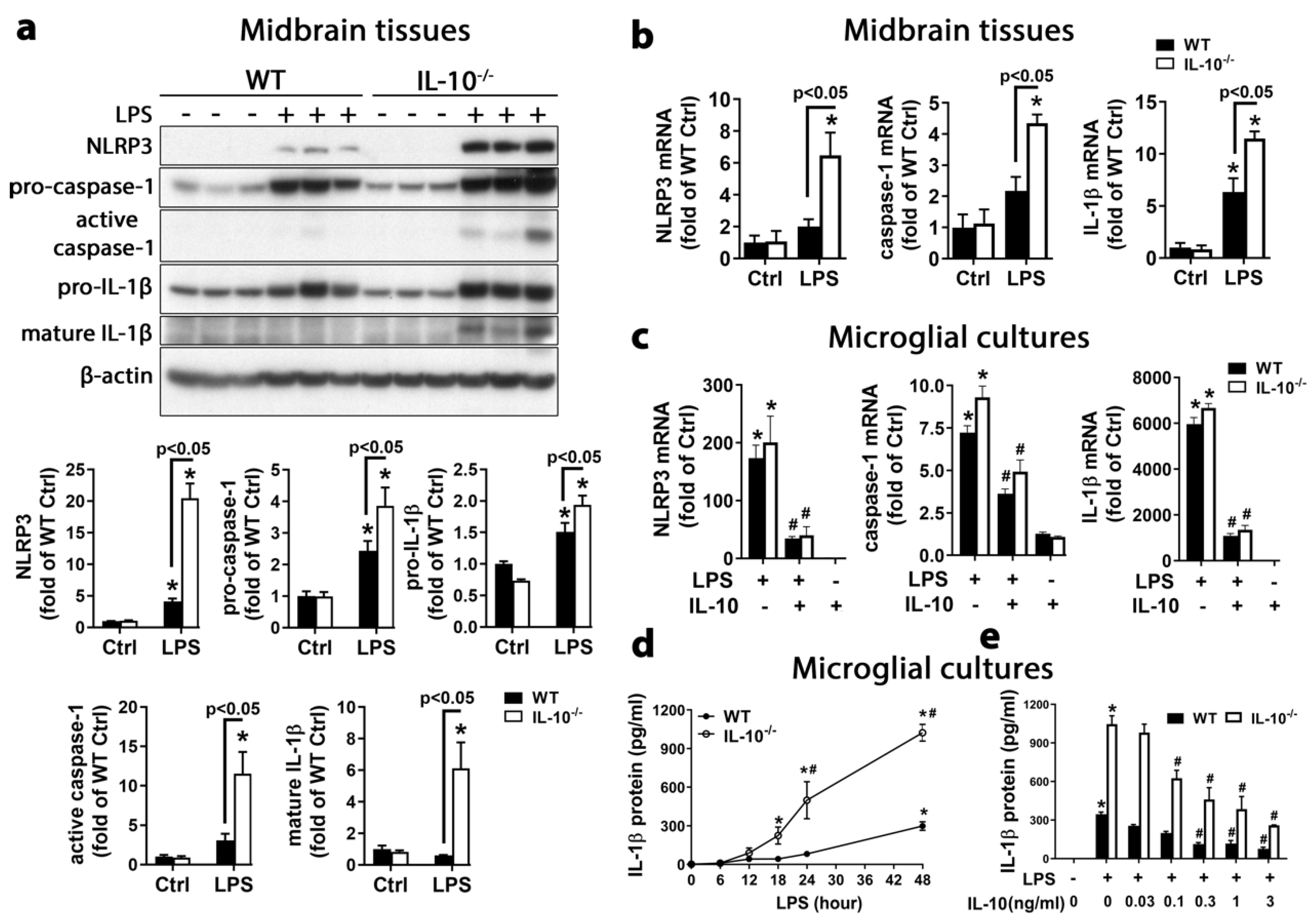 Ijms 21 00465 g001 Ijms 21 00465 g001