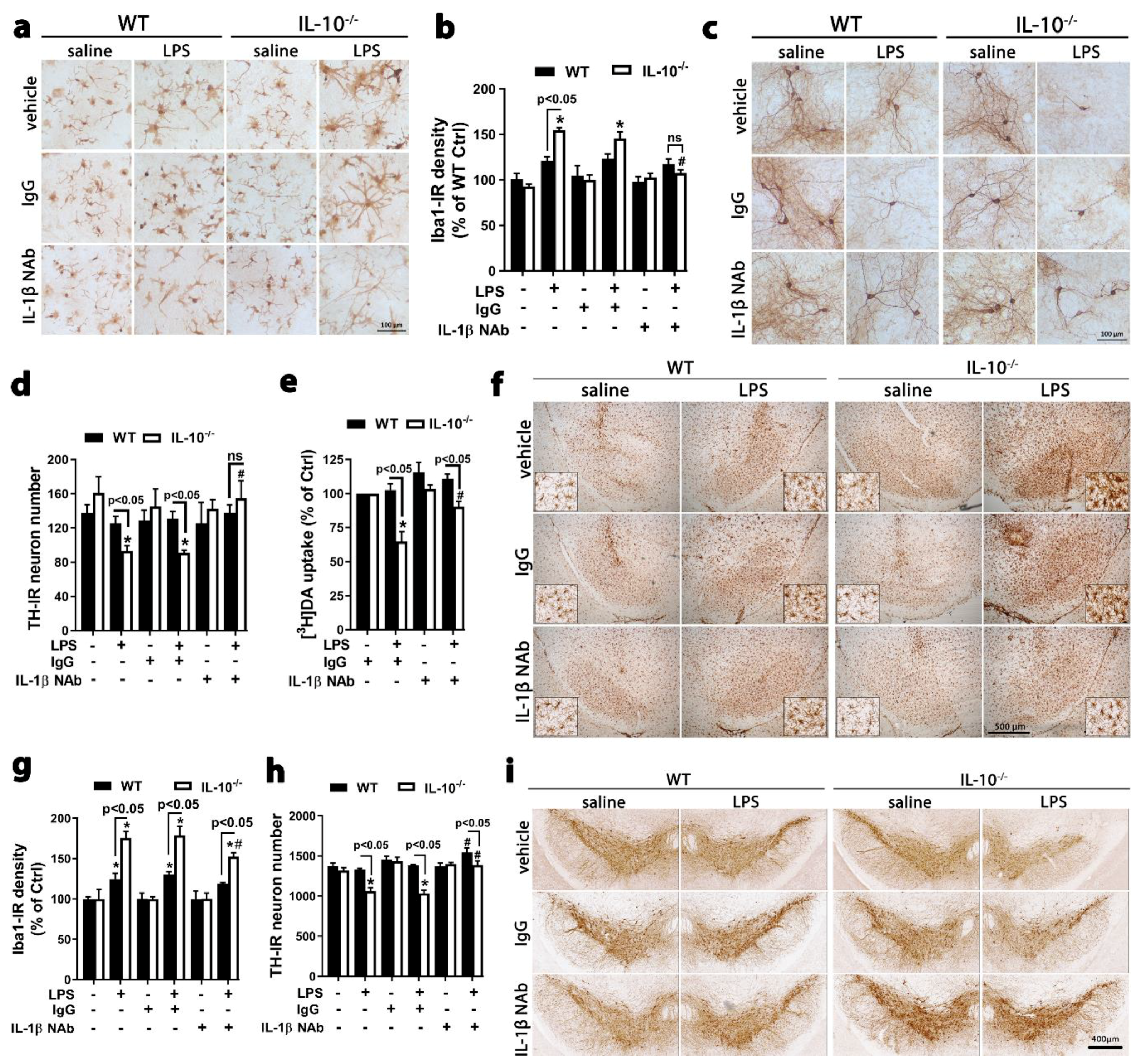 Ijms 21 00465 g006 Ijms 21 00465 g006