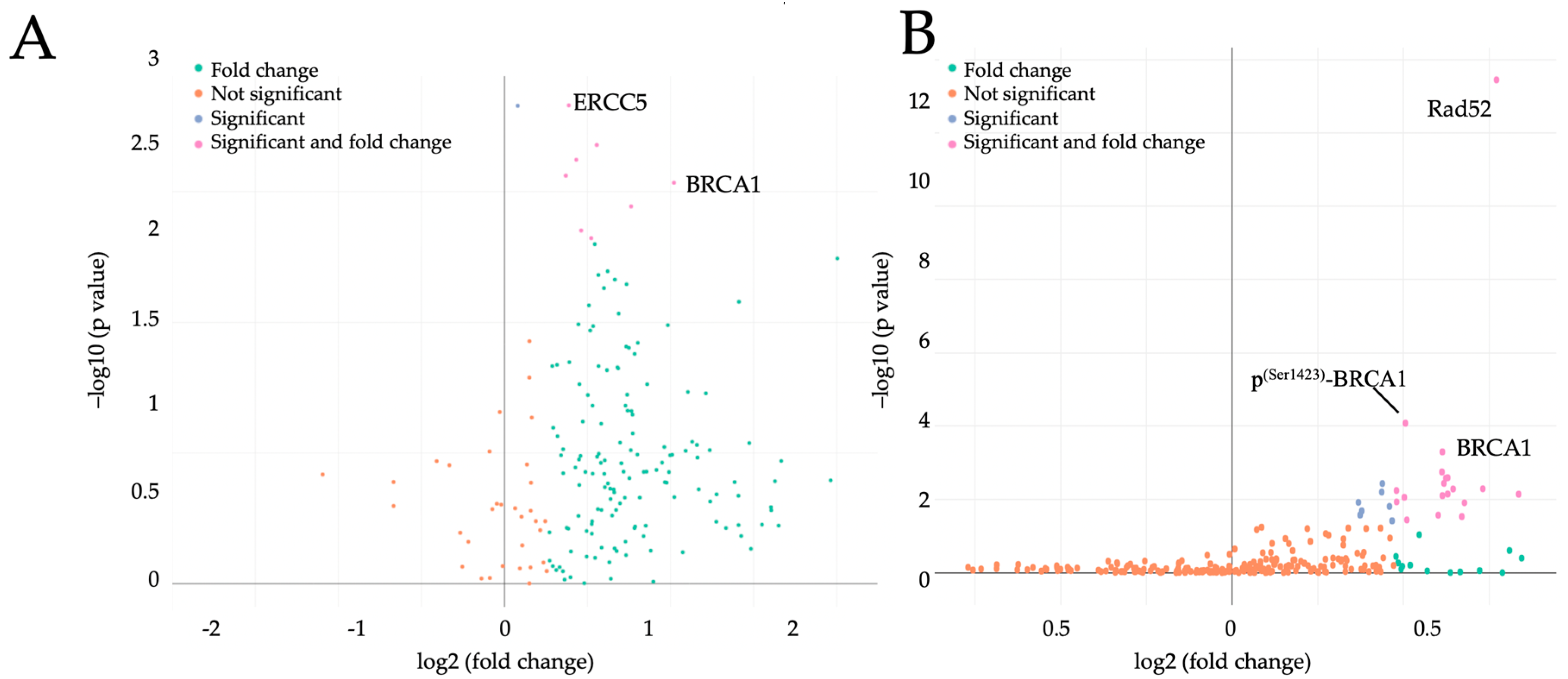 Ijms 21 00468 g001 Ijms 21 00468 g001