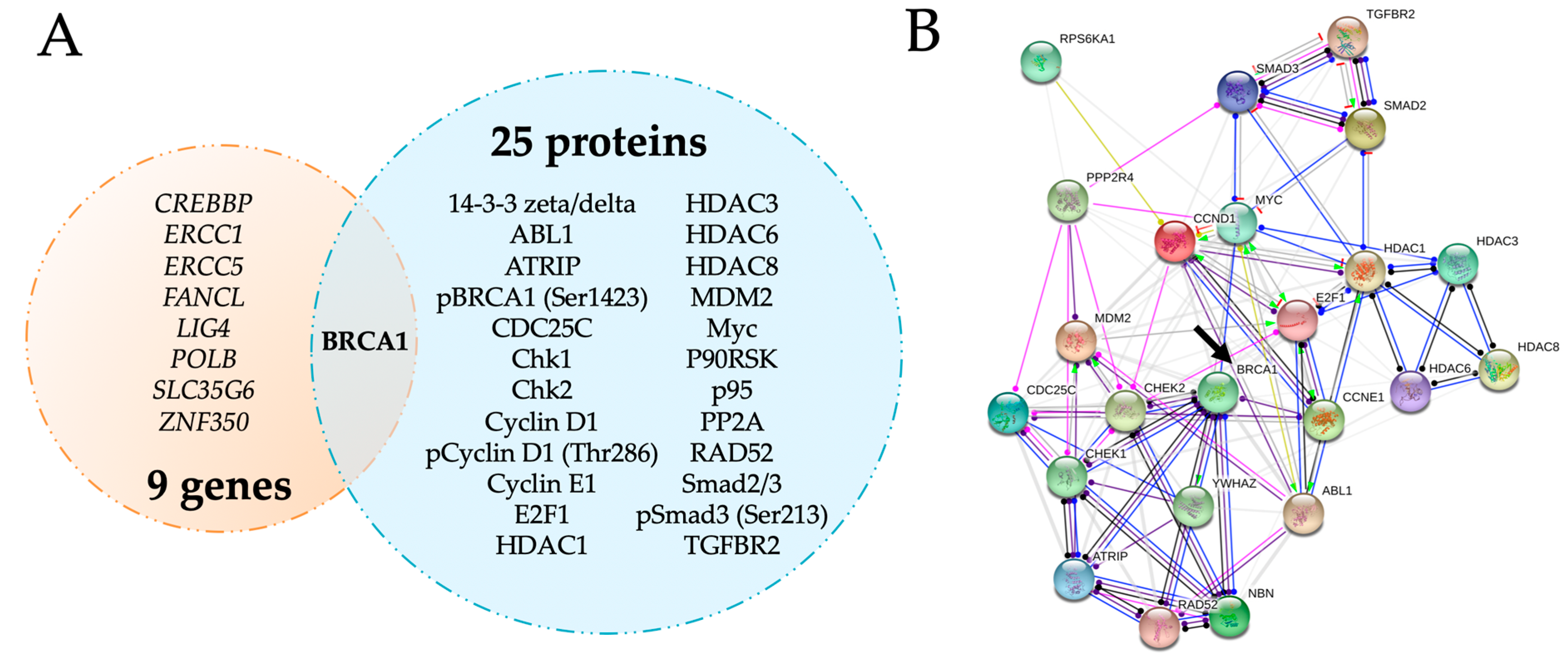 Ijms 21 00468 g002 Ijms 21 00468 g002