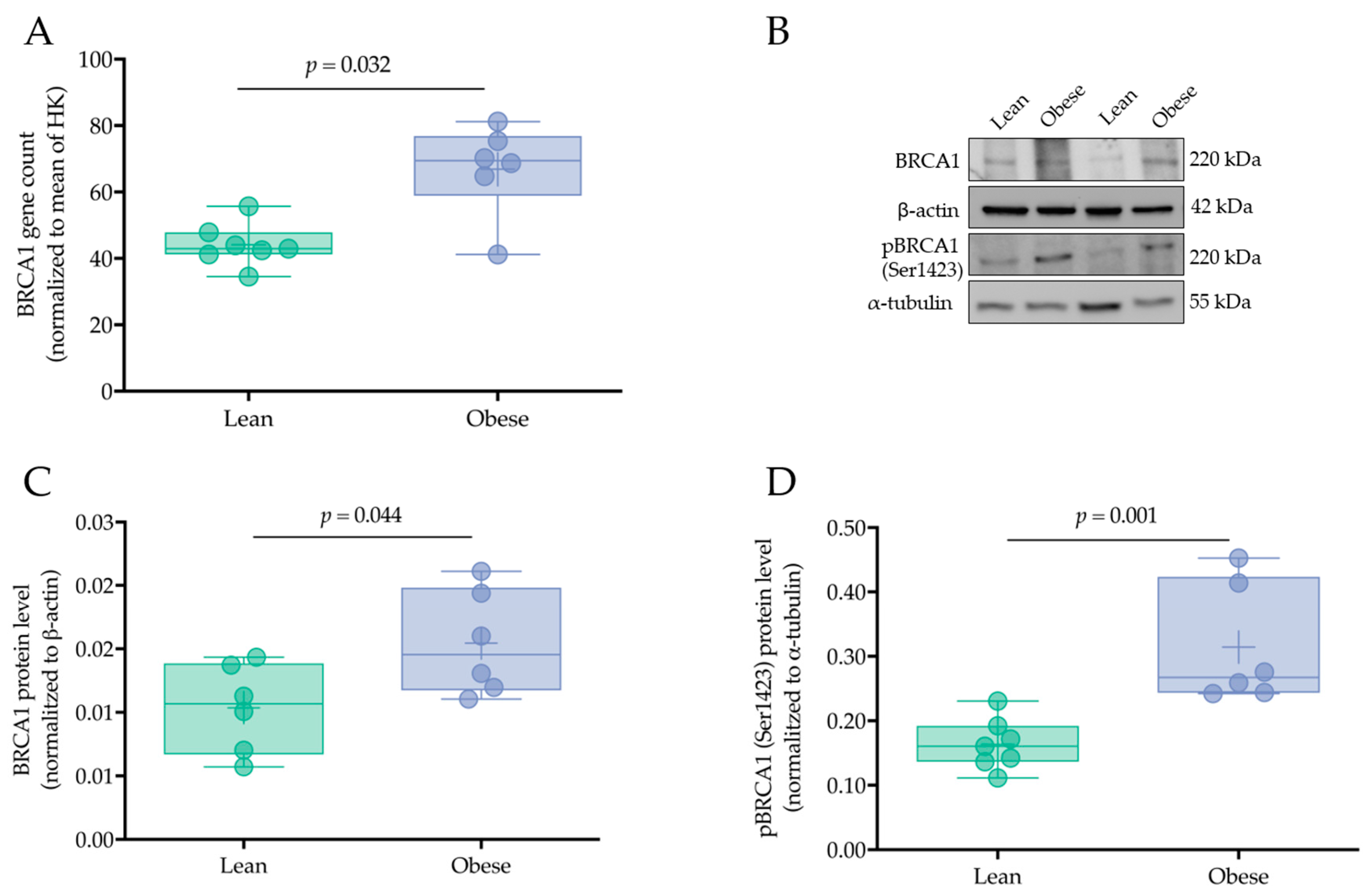Ijms 21 00468 g003 Ijms 21 00468 g003