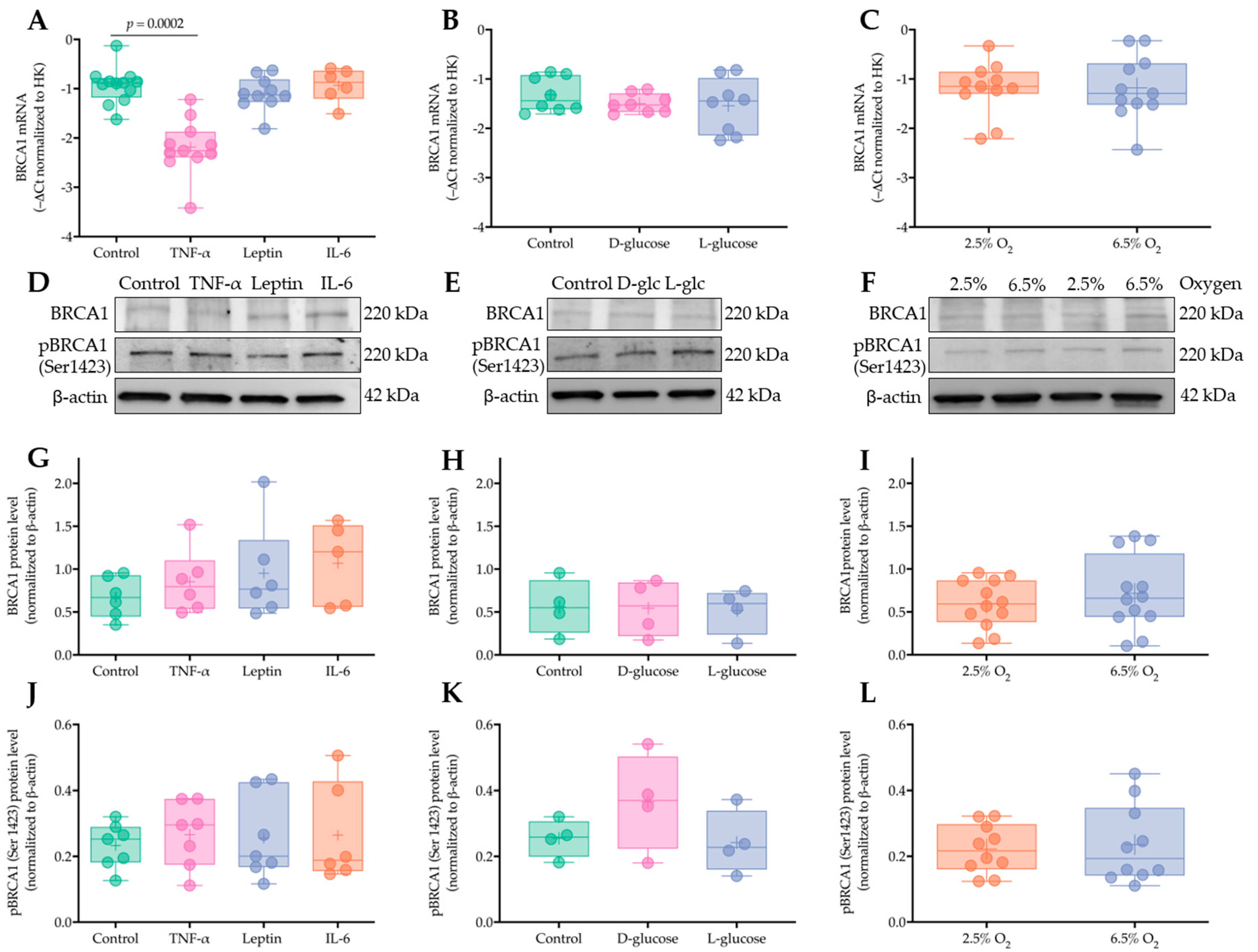Ijms 21 00468 g006 Ijms 21 00468 g006