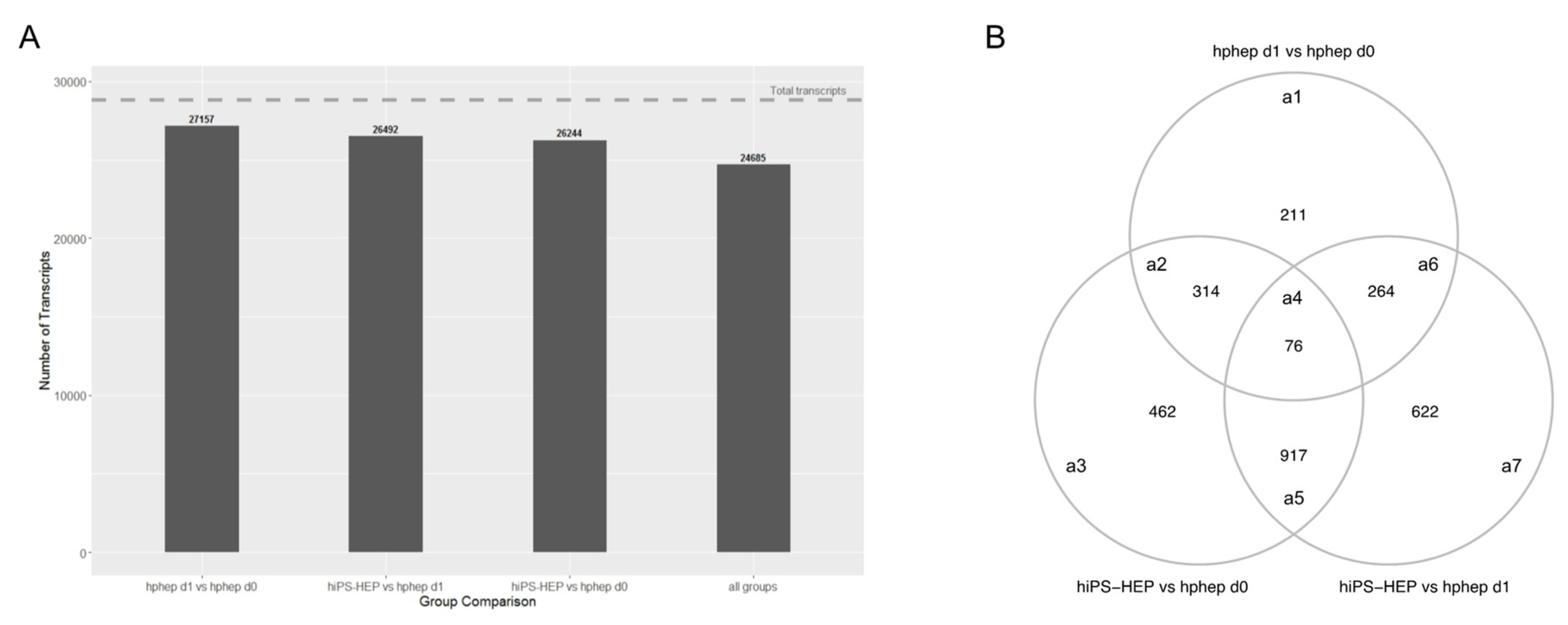 Characterization of Human Induced Pluripotent Stem Cell
