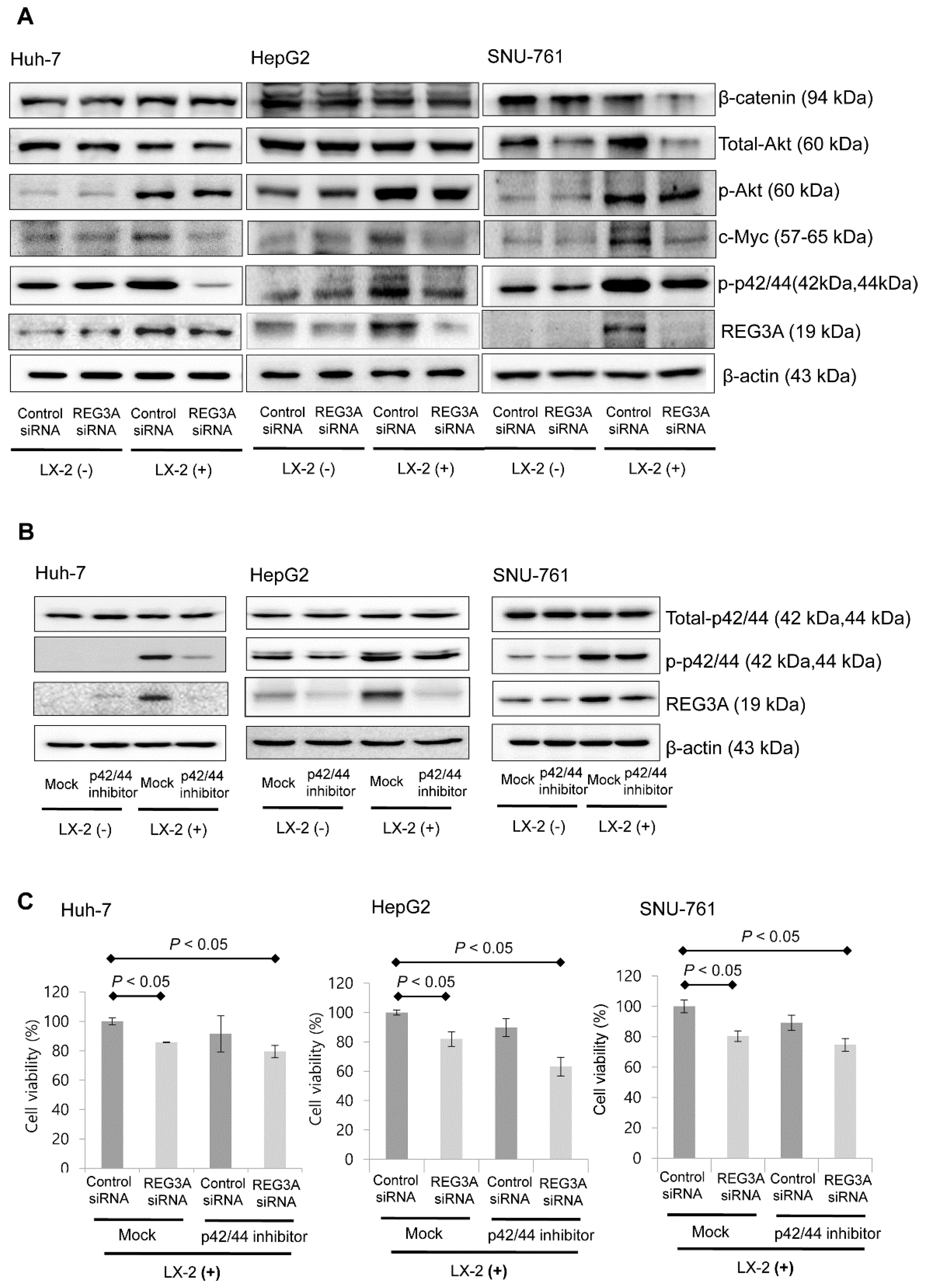Ijms 21 00472 g004 Ijms 21 00472 g004