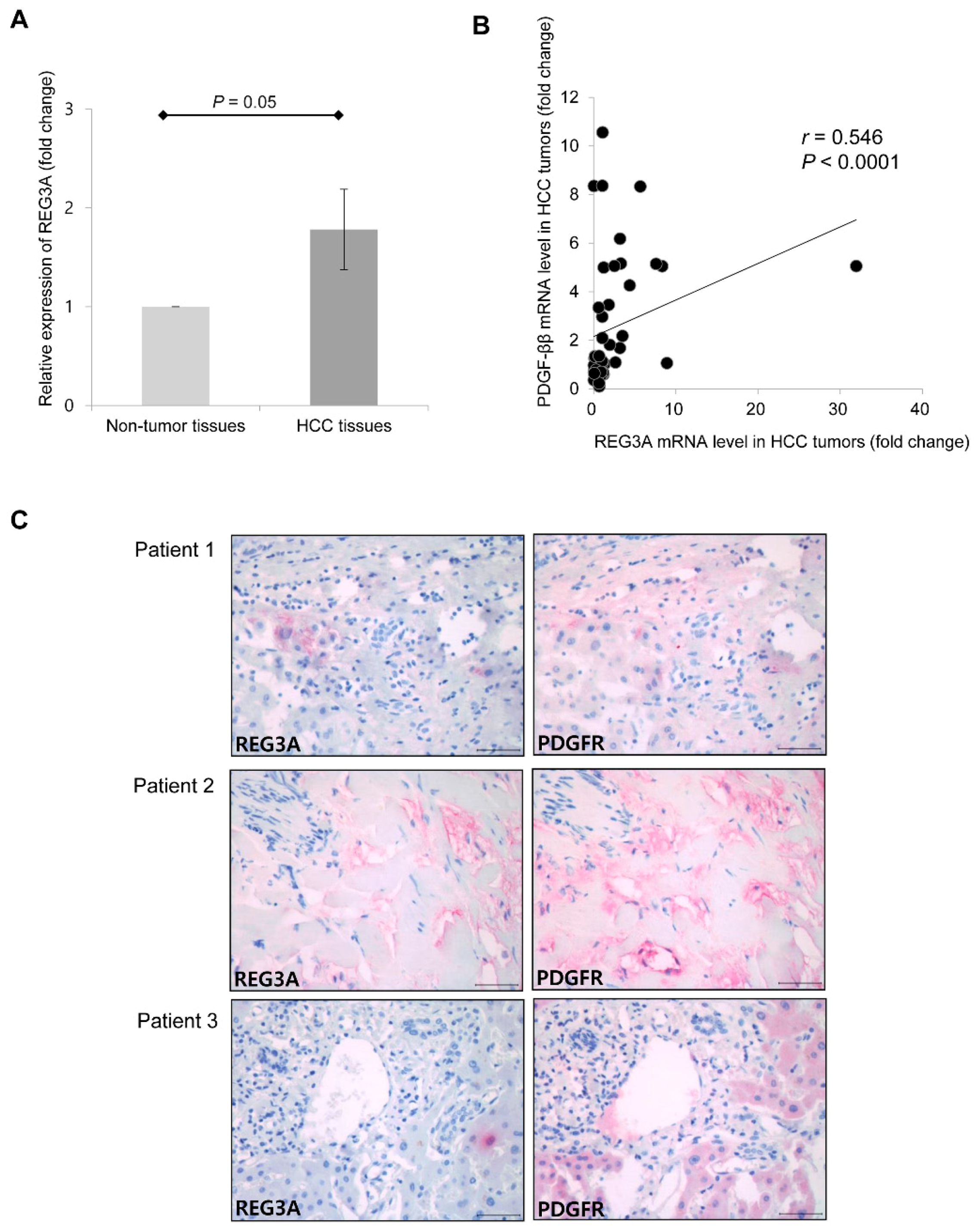 Ijms 21 00472 g006 Ijms 21 00472 g006