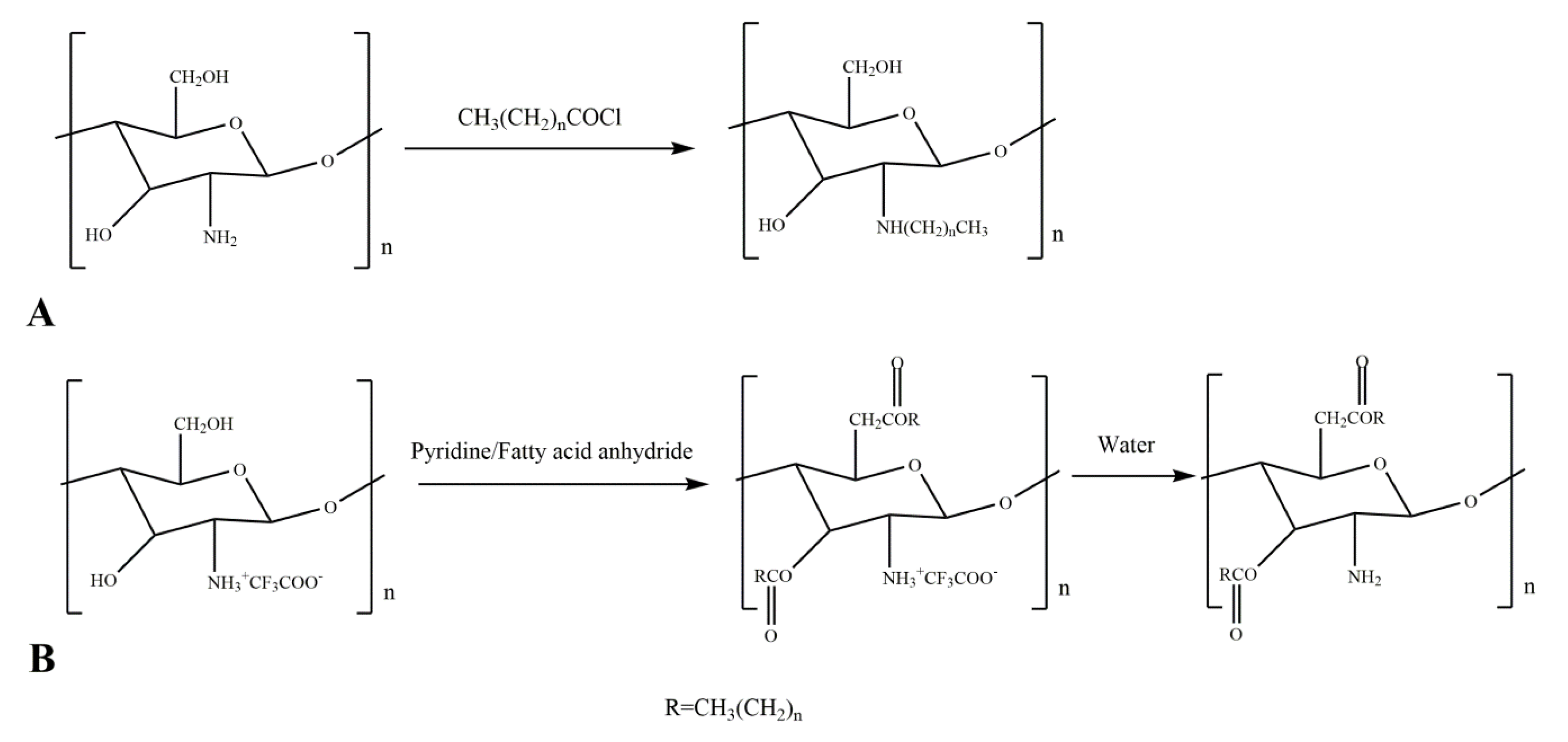 Ijms Free Full Text Chitosan Derivatives And Their Application In Biomedicine Html