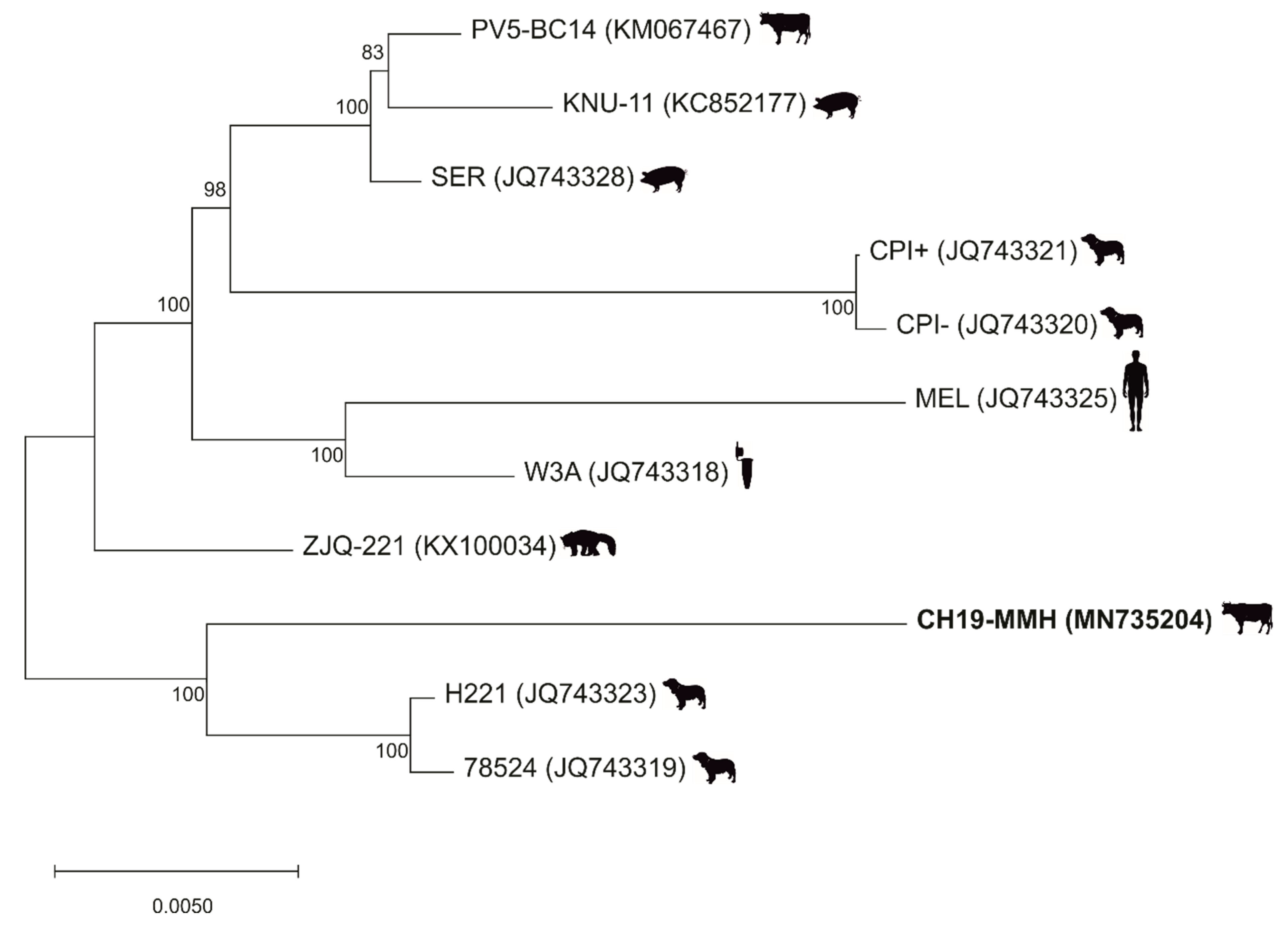 Ijms 21 00498 g002 Ijms 21 00498 g002