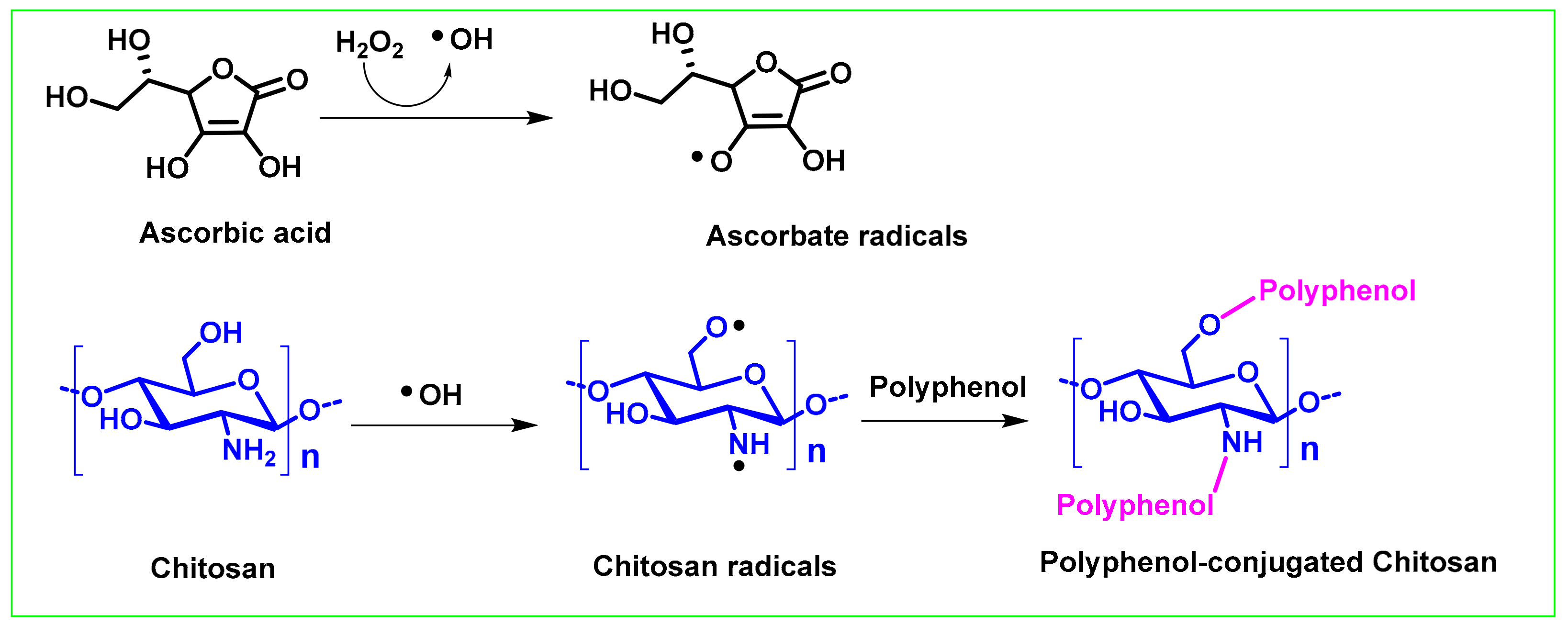 Ijms 21 00499 g002 Ijms 21 00499 g002