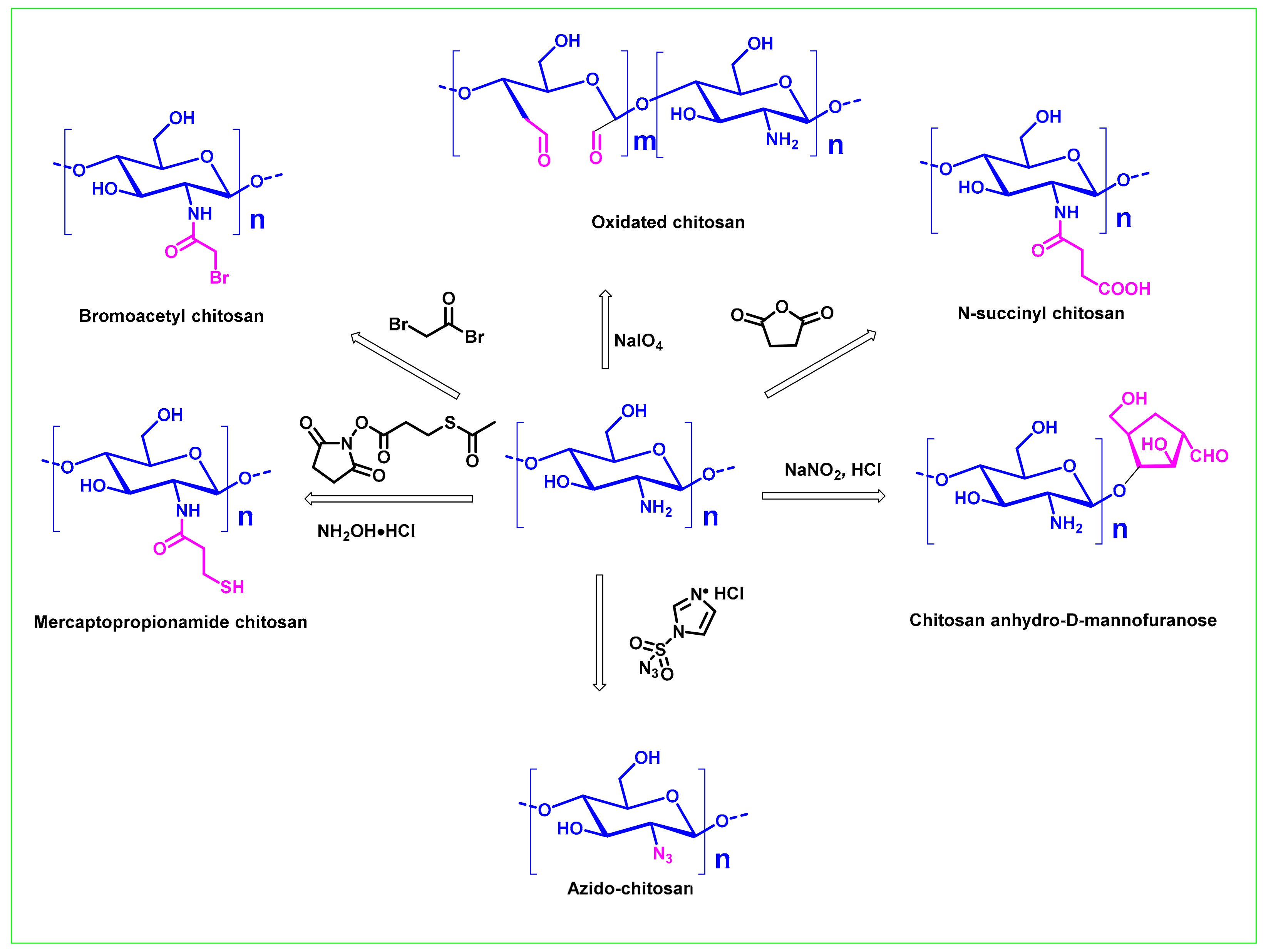 Ijms 21 00499 g004 Ijms 21 00499 g004