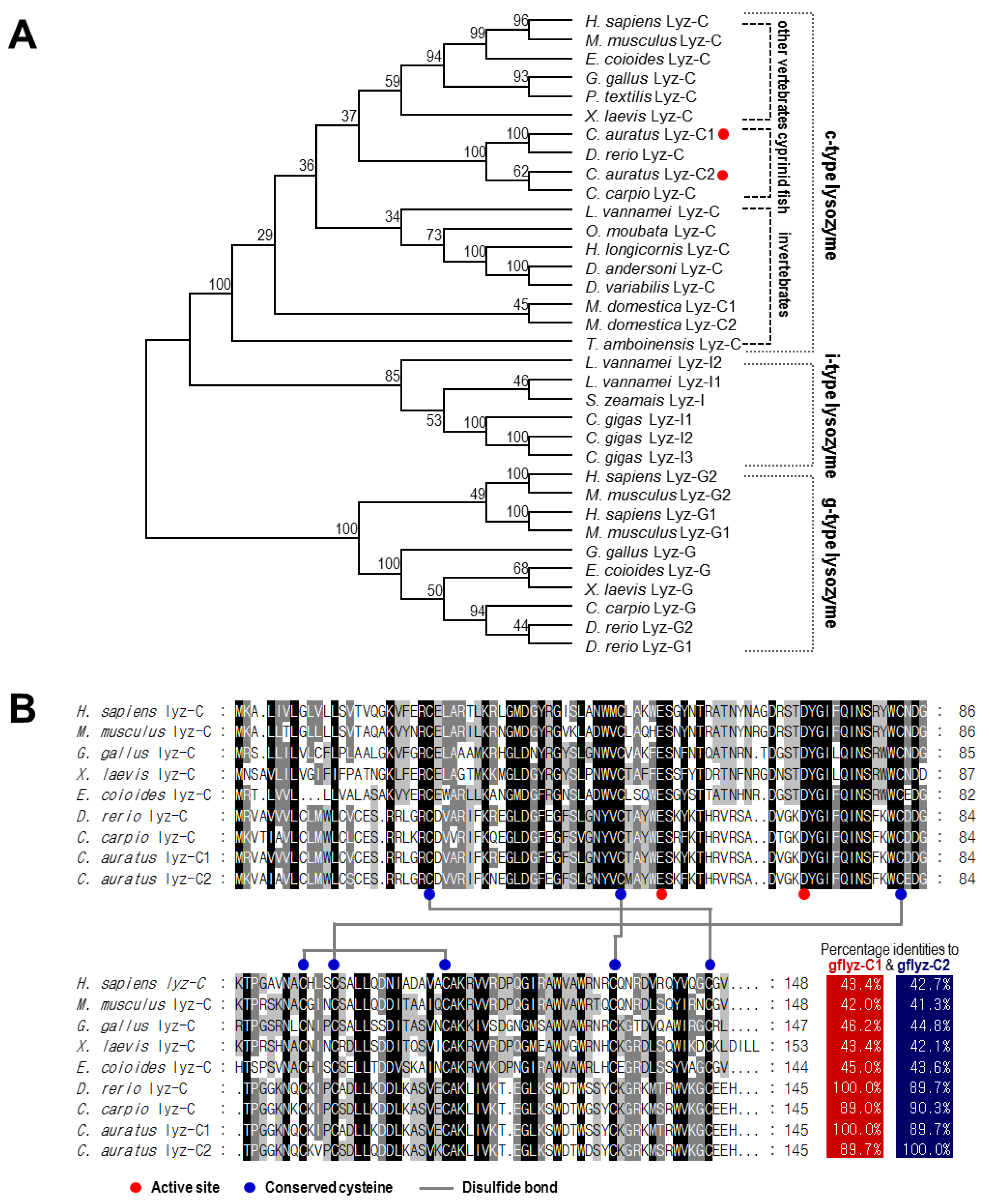Ijms 21 00501 g002 Ijms 21 00501 g002