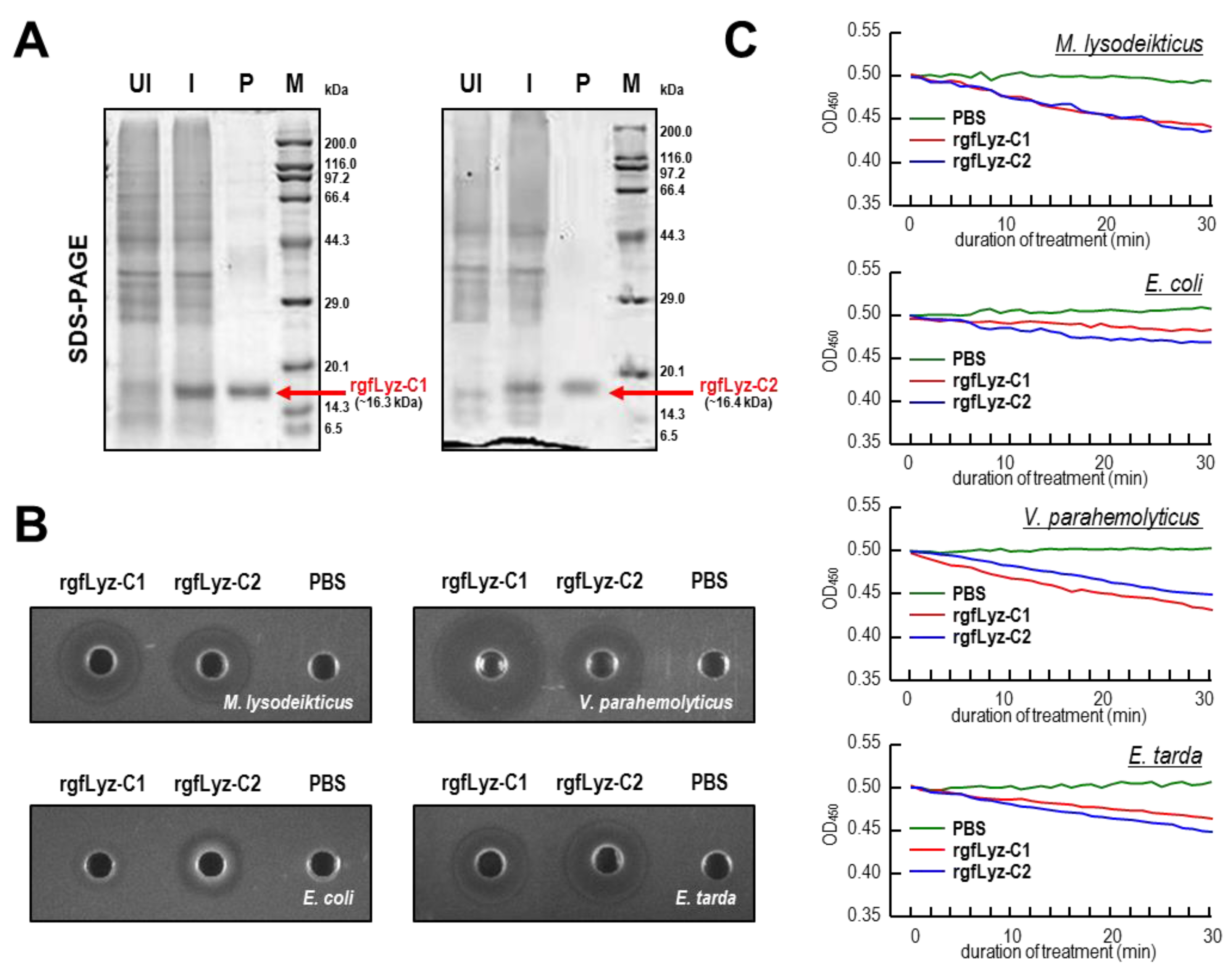 Ijms 21 00501 g003 Ijms 21 00501 g003