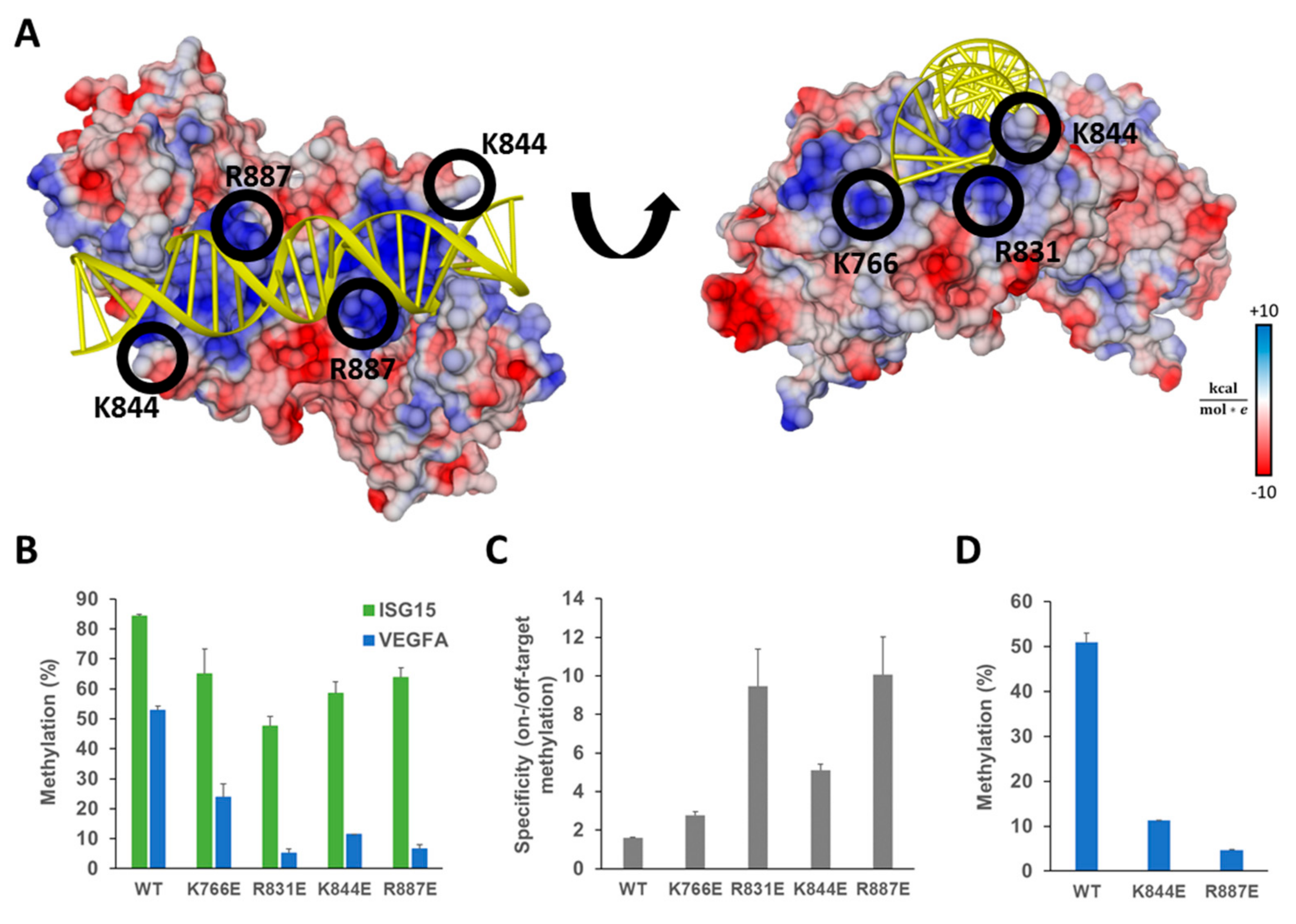 Methylated-DNA IP Kit