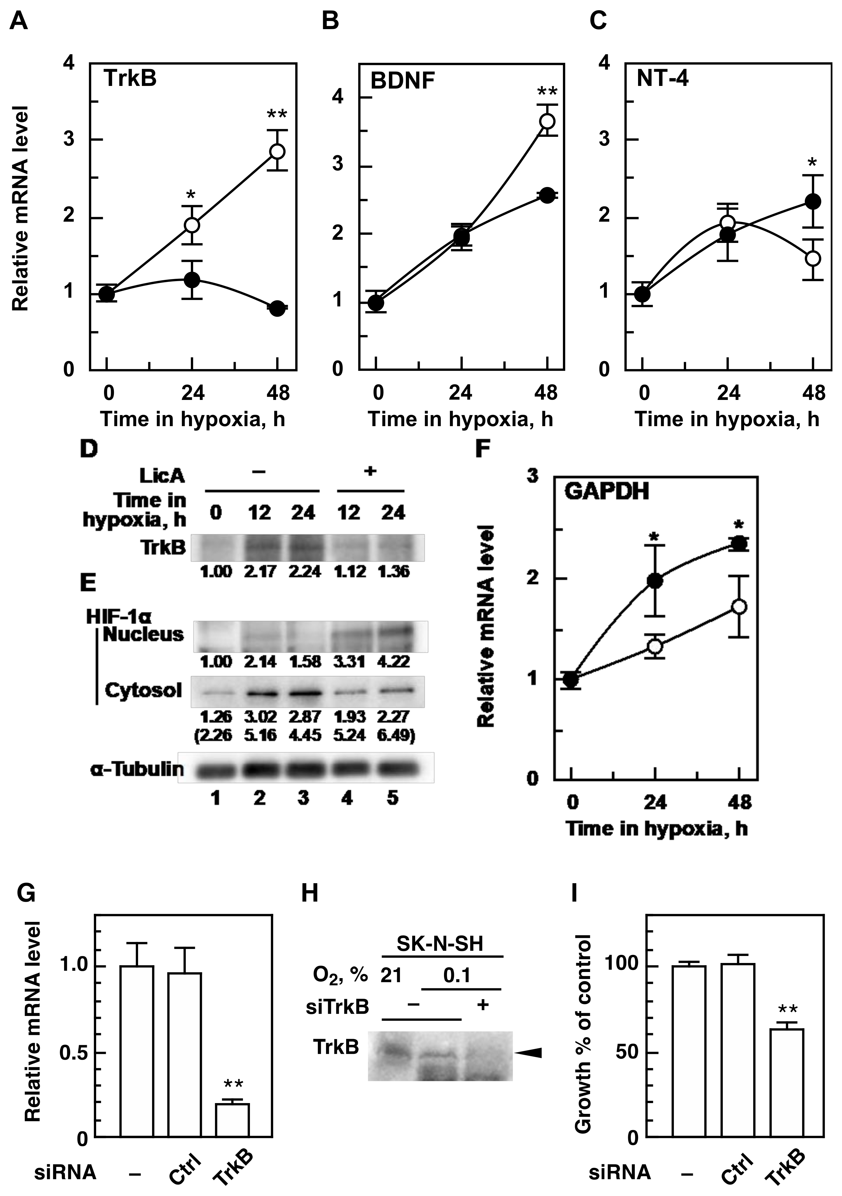 Ijms 21 00506 g002 Ijms 21 00506 g002