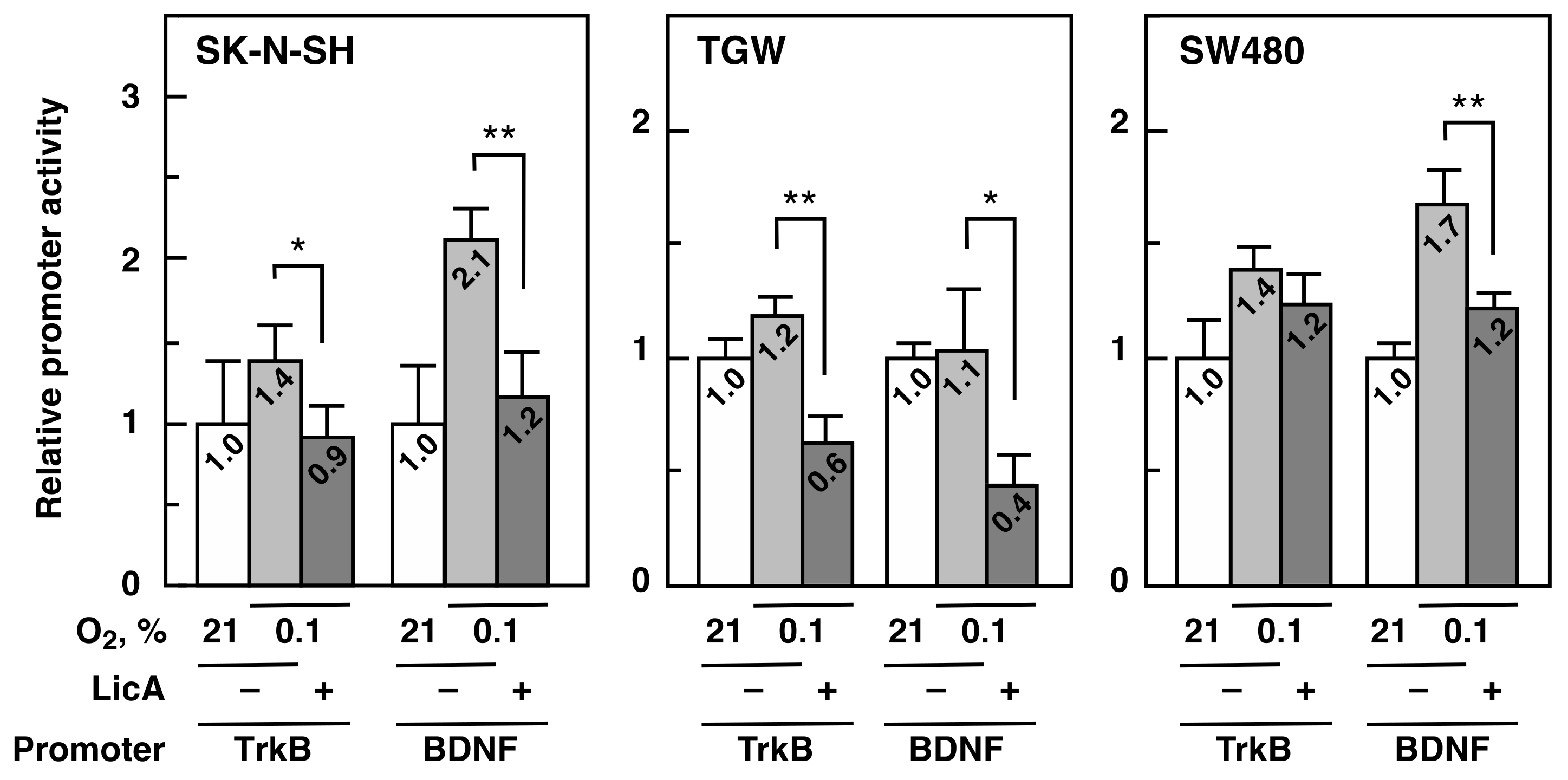 Ijms 21 00506 g004 Ijms 21 00506 g004