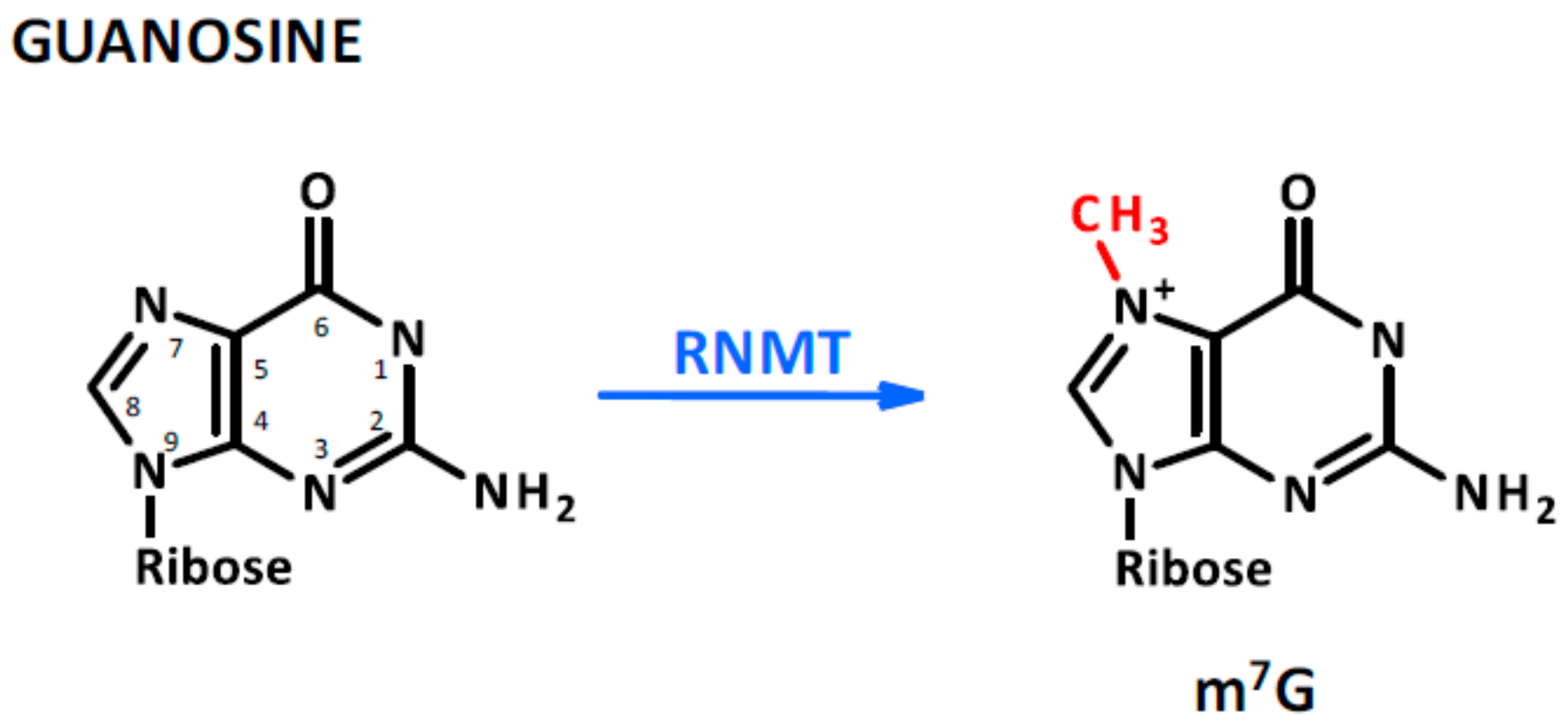Ijms 21 00509 g003 Ijms 21 00509 g003
