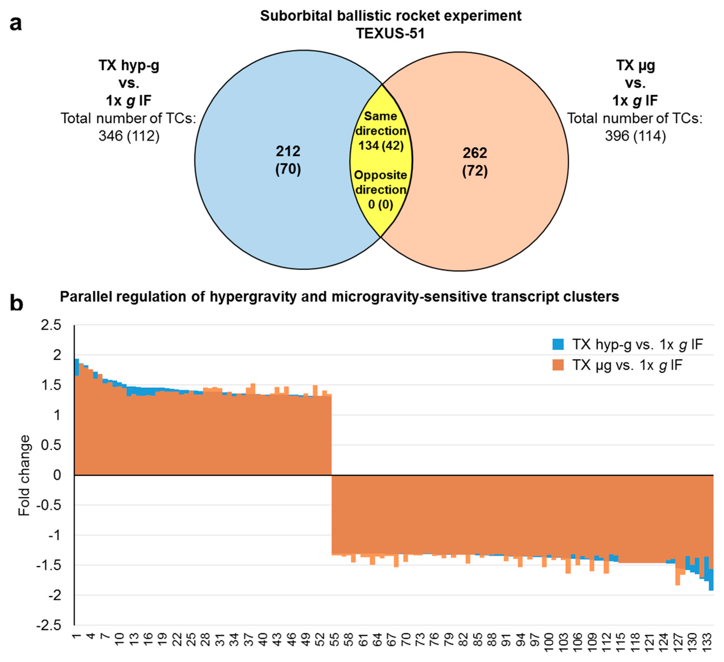 Ijms Free Full Text Rapid Cellular Perception Of Gravitational Forces In Human Jurkat T Cells And Transduction Into Gene Expression Regulation Html