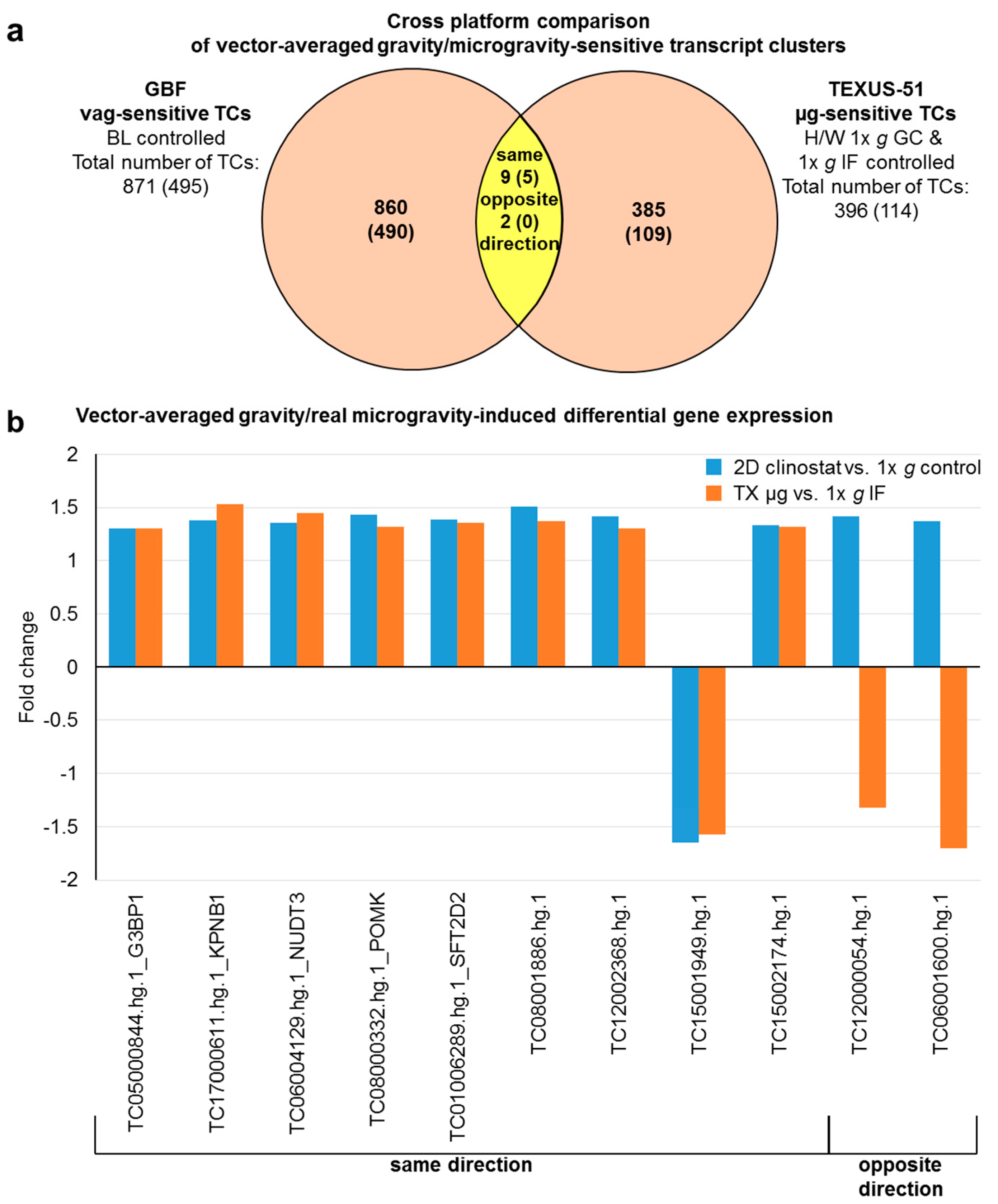 Ijms 21 00514 g009 Ijms 21 00514 g009