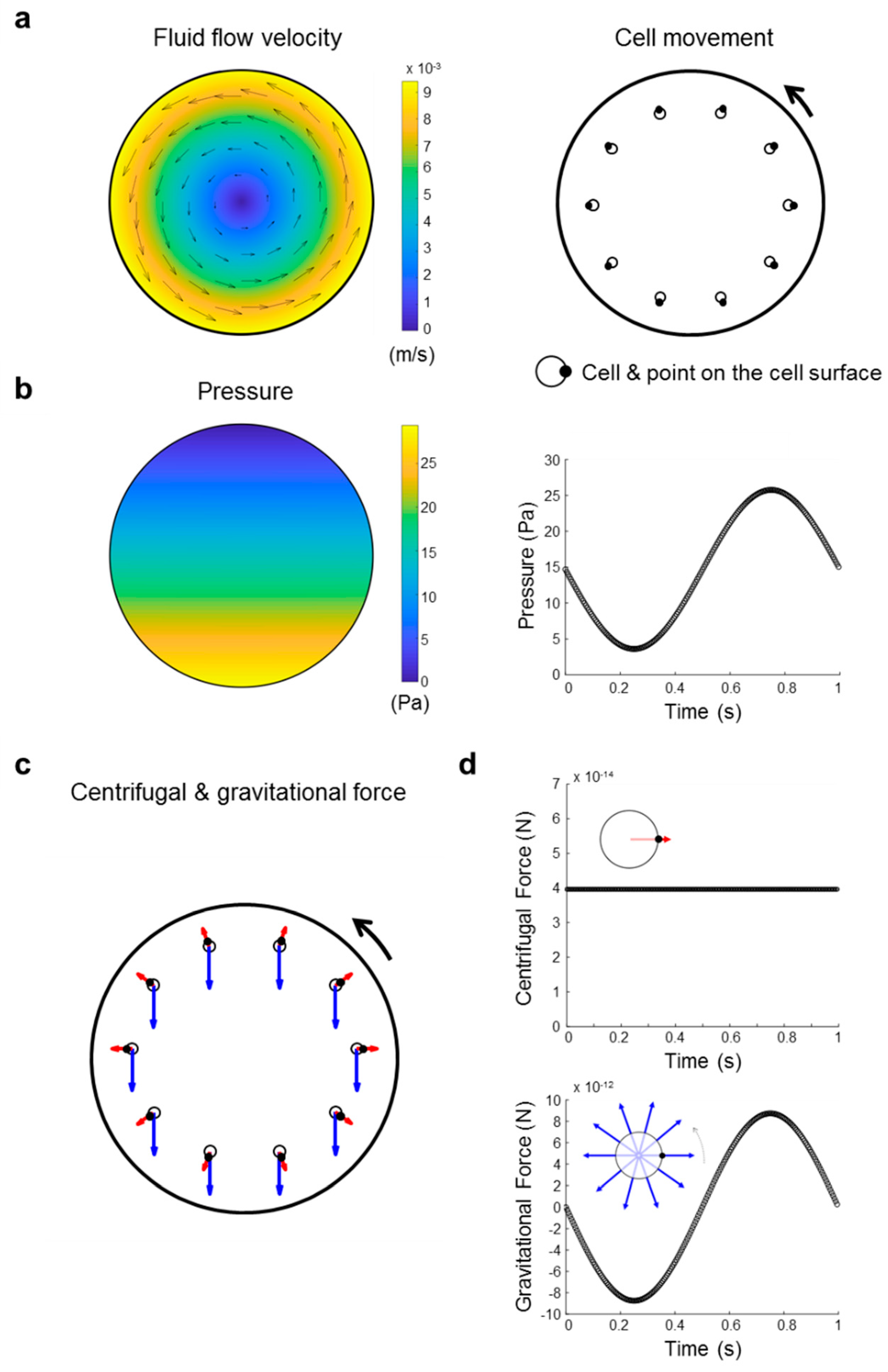 Ijms 21 00514 g014 Ijms 21 00514 g014